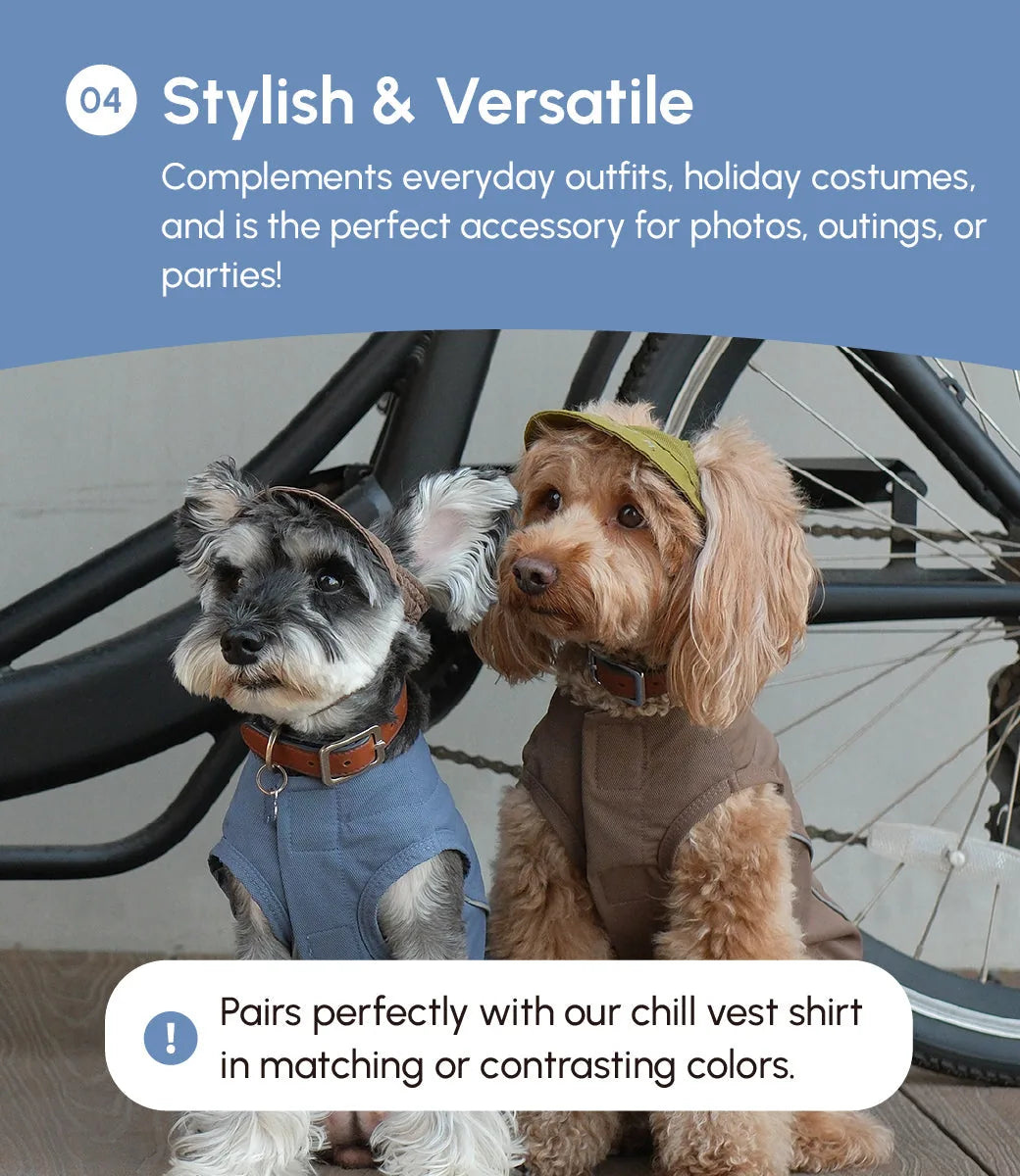 Green tennis hat on a dog, featuring a reflective logo, adding a stylish touch to playful outfits.