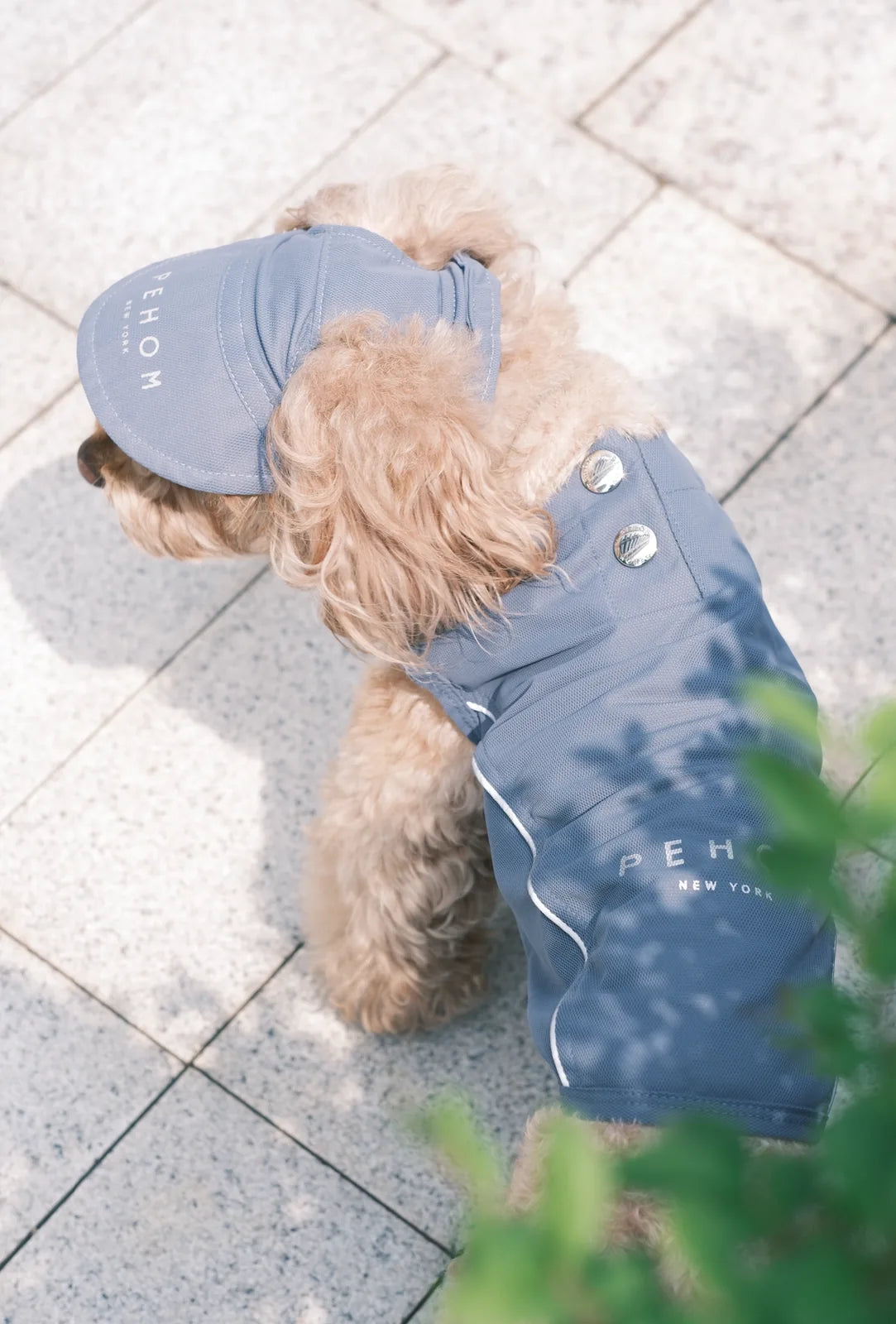 Green tennis hat on a dog, featuring a reflective logo and adjustable chin strap, set against a stone pathway.