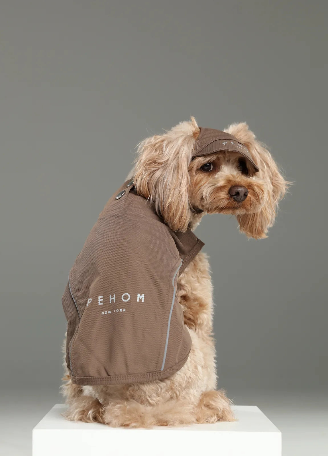 A dog wearing a mocha tennis hat with a reflective logo, showcasing its stylish dog apparel design.