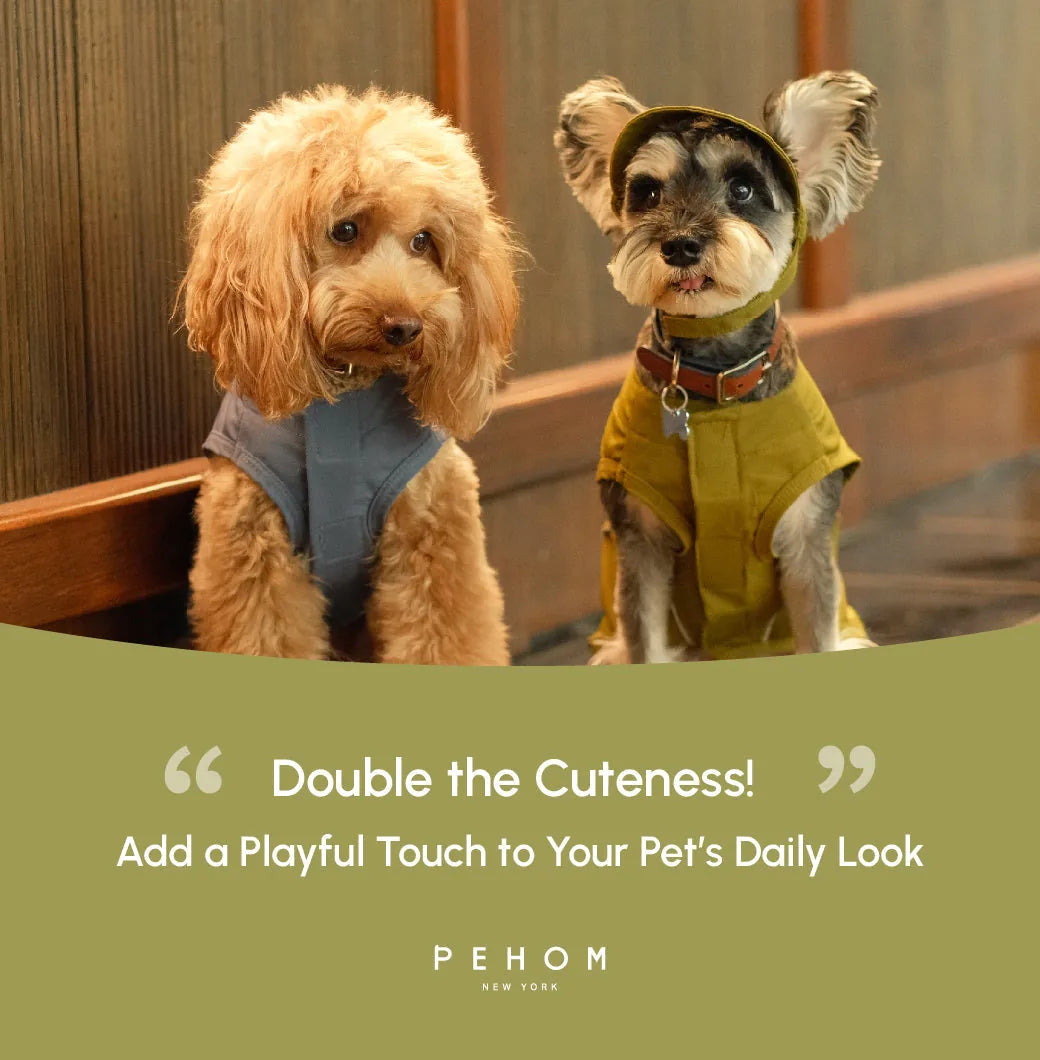 Two stylish dogs sit side by side, one in a blue outfit and the other in a tan coat, showcasing playful dog apparel.