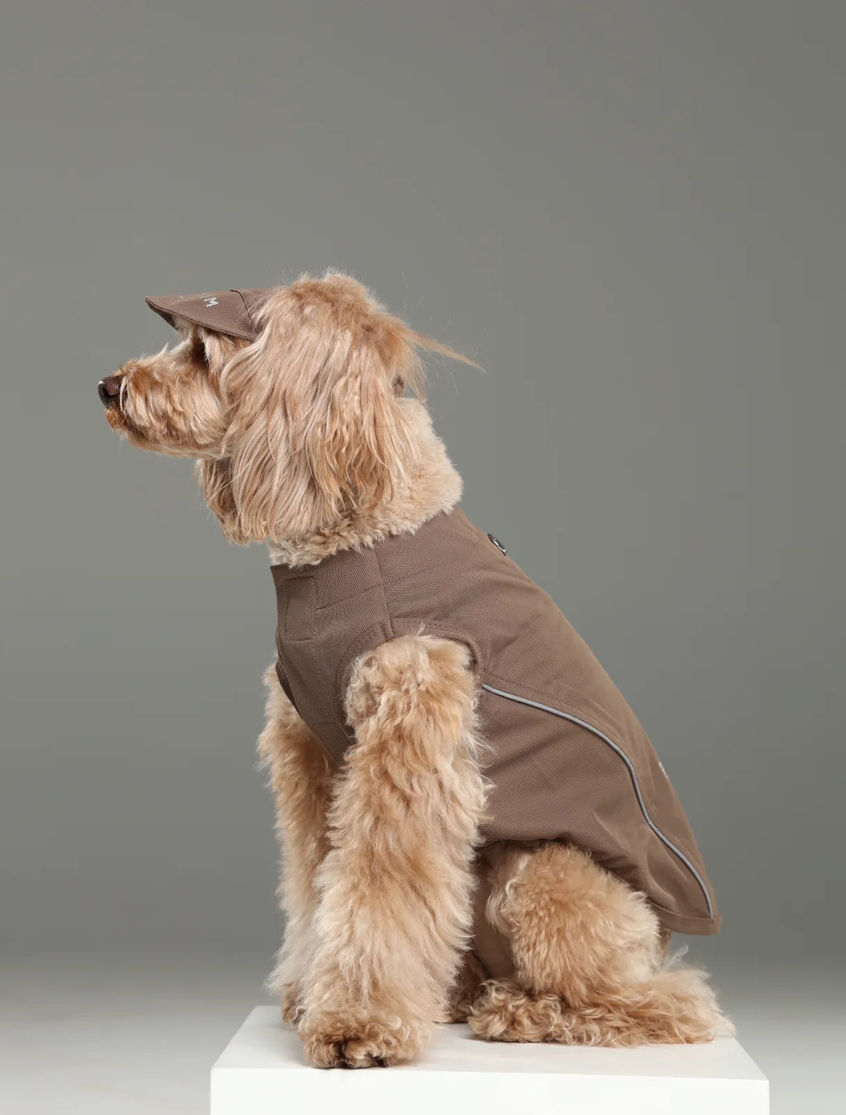 Dog wearing a mocha tennis hat and a brown outfit, showcasing the stylish design and reflective logo on the brim.