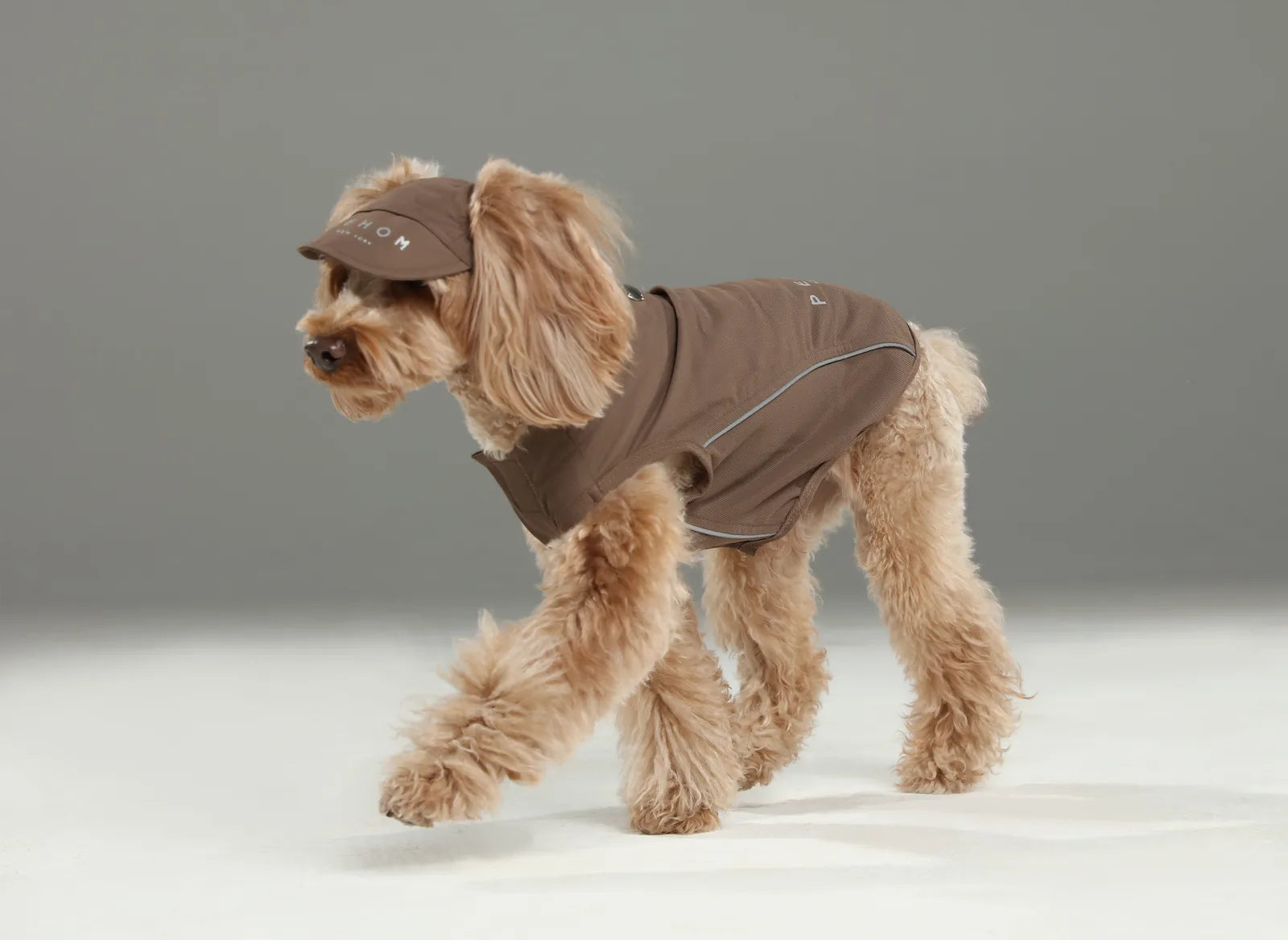 Brown tennis hat on a fluffy dog wearing a matching outfit, showcasing a playful and stylish look.