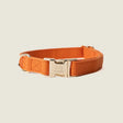 'Terracotta' - Canvas Dog Collar by FURLOU