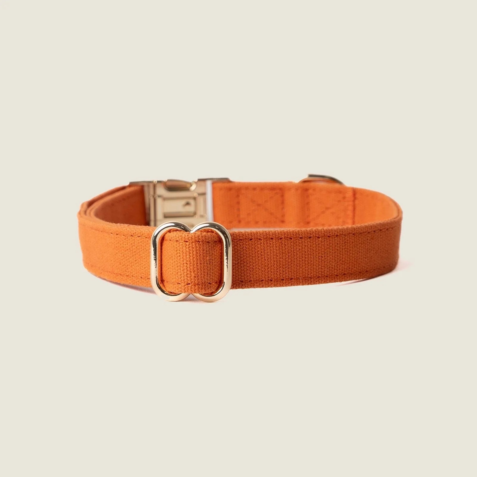 Warm terracotta canvas dog collar with gold hardware, featuring a simple design for everyday comfort.
