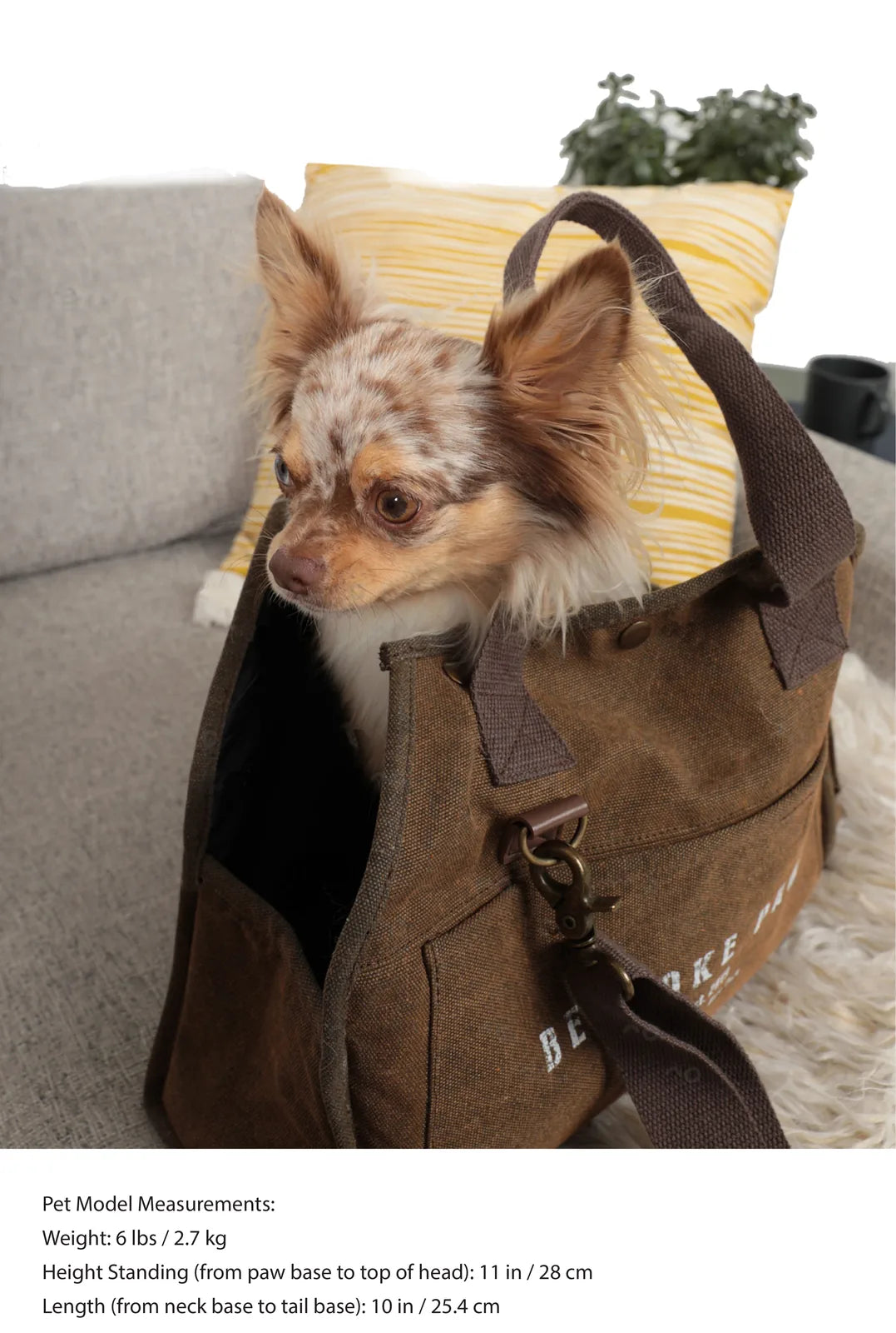 Chihuahua nestled inside an Army Green fabric pet carrier by BESPOKE PAWS, showcasing vegan leather trim.