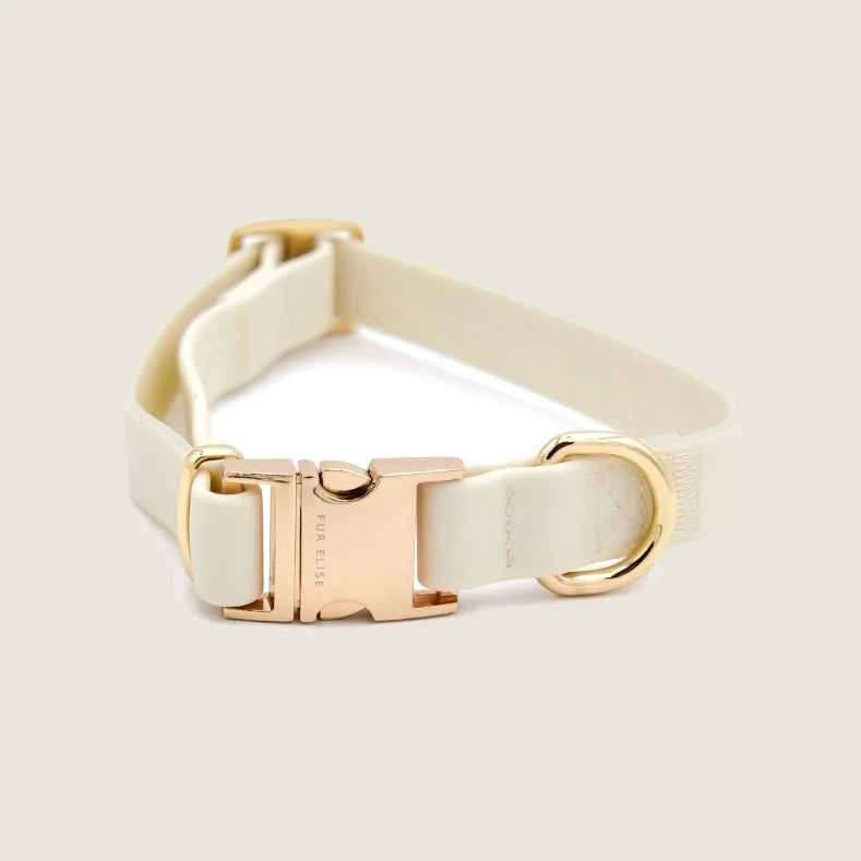 Lightweight cream collar with a gold buckle and D-ring, designed for stylish and functional dog walks.