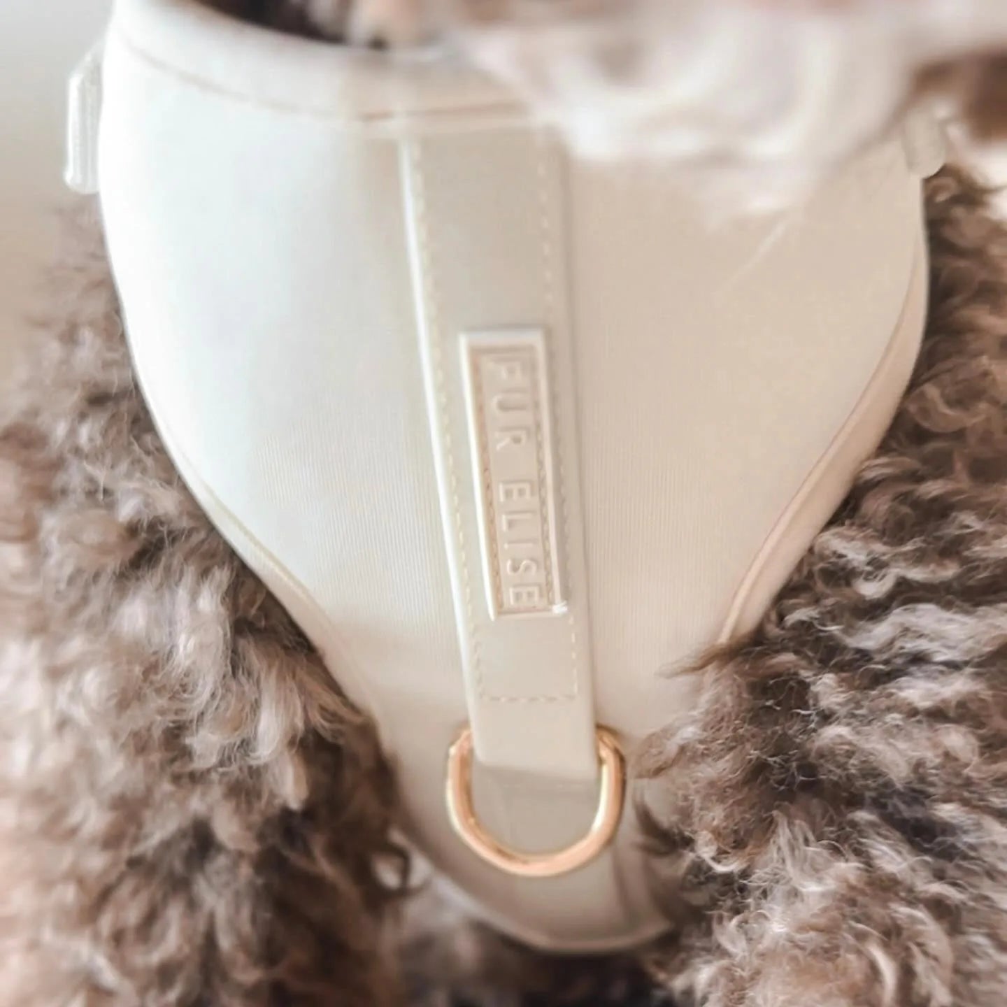 Cream neoprene harness with gold D-ring and "Fur Elise" label, framed by curly fur.