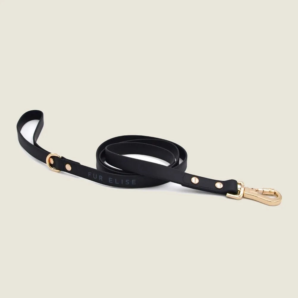 Lightweight black leash with gold accents, featuring soft rubbery feel and slide-lock carabiner. Ideal for stylish dog walks.