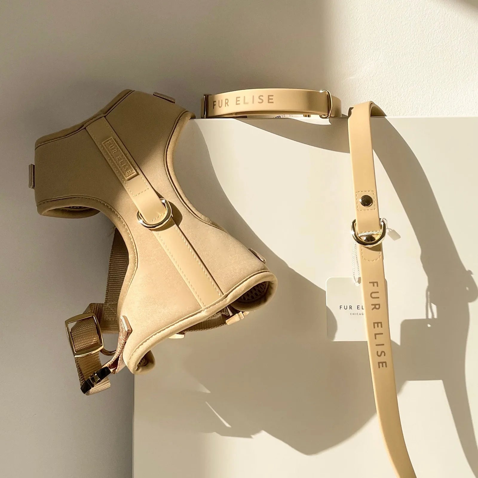 Light beige neoprene harness and matching leash with gold accents, resting on a soft background, showcasing durable design.