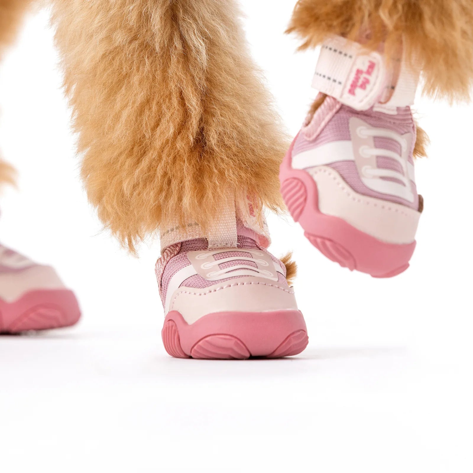 Pink and cream dog sneakers with adjustable straps, designed for comfort and style, on a fluffy dog's paws.