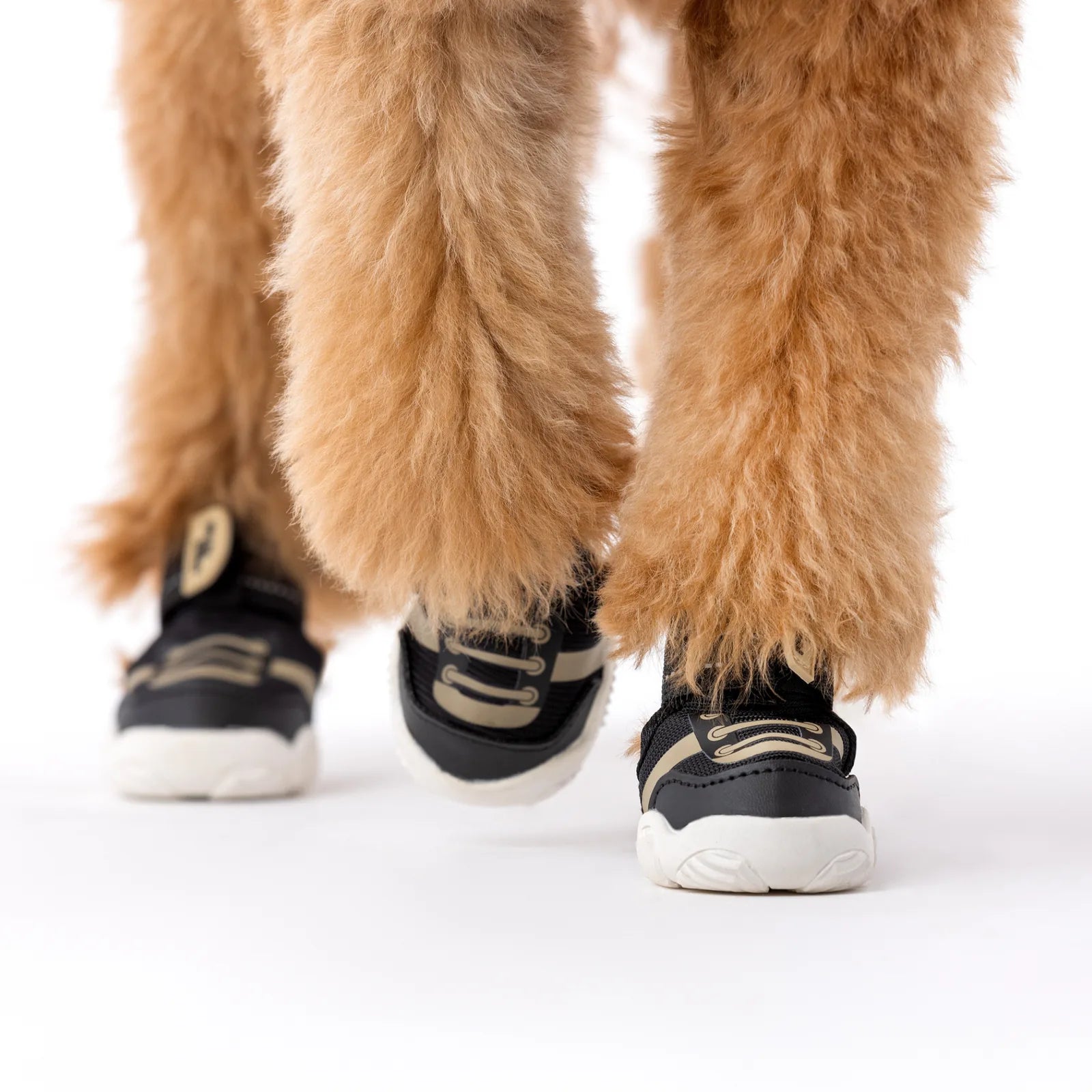 Black dog sneakers with adjustable straps, designed for comfort and style, featuring a soft furry dog in motion.