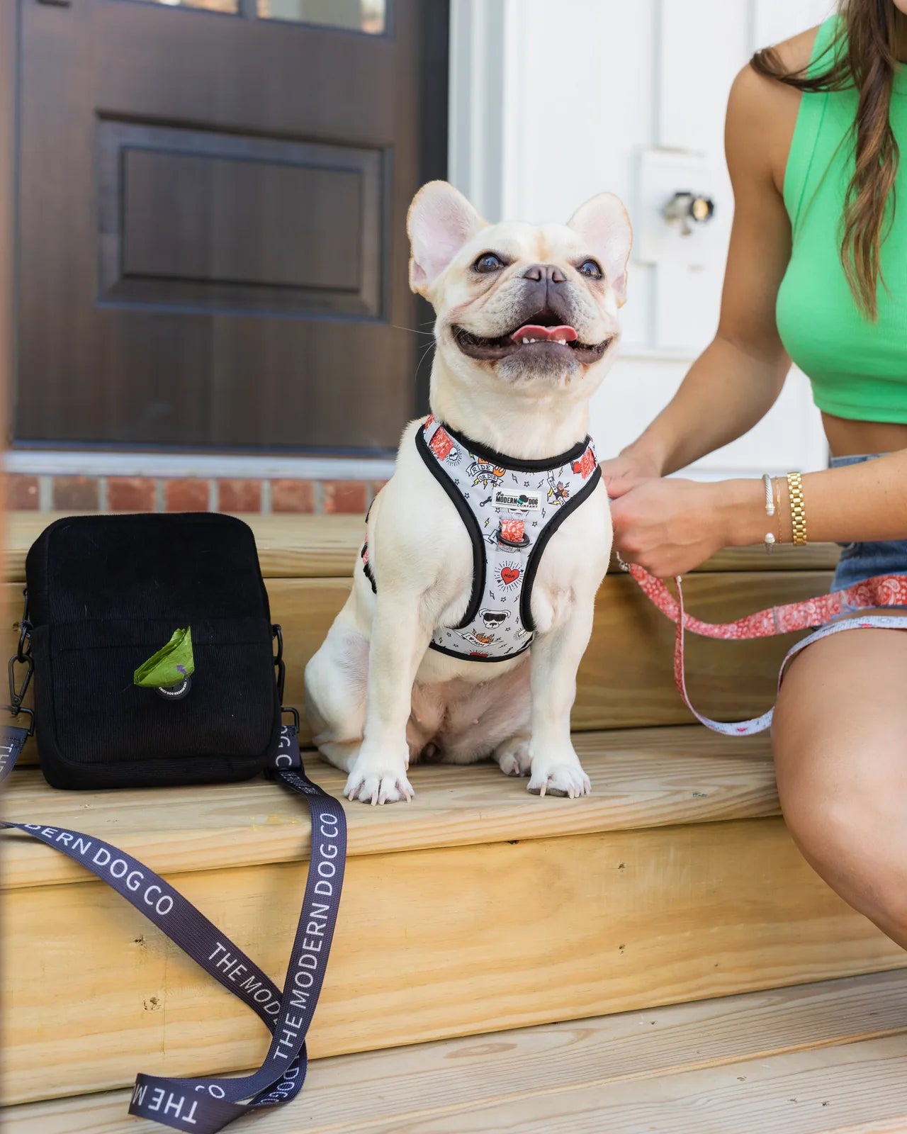Stylish beige French Bulldog wearing a patterned dog harness, sitting on wooden steps beside a black bag.