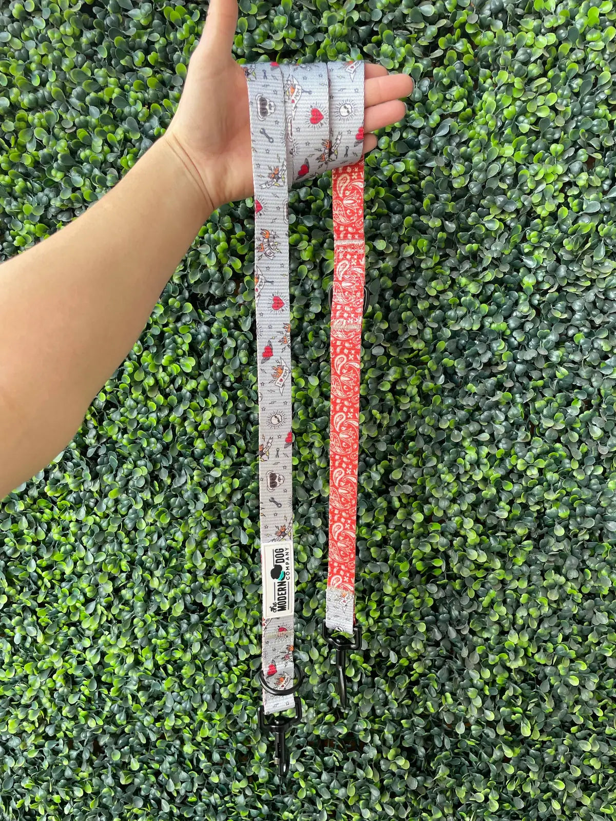 Stylish Bad to the Bone leash in gray with biker pattern and a complementary red paisley design, held against green foliage.