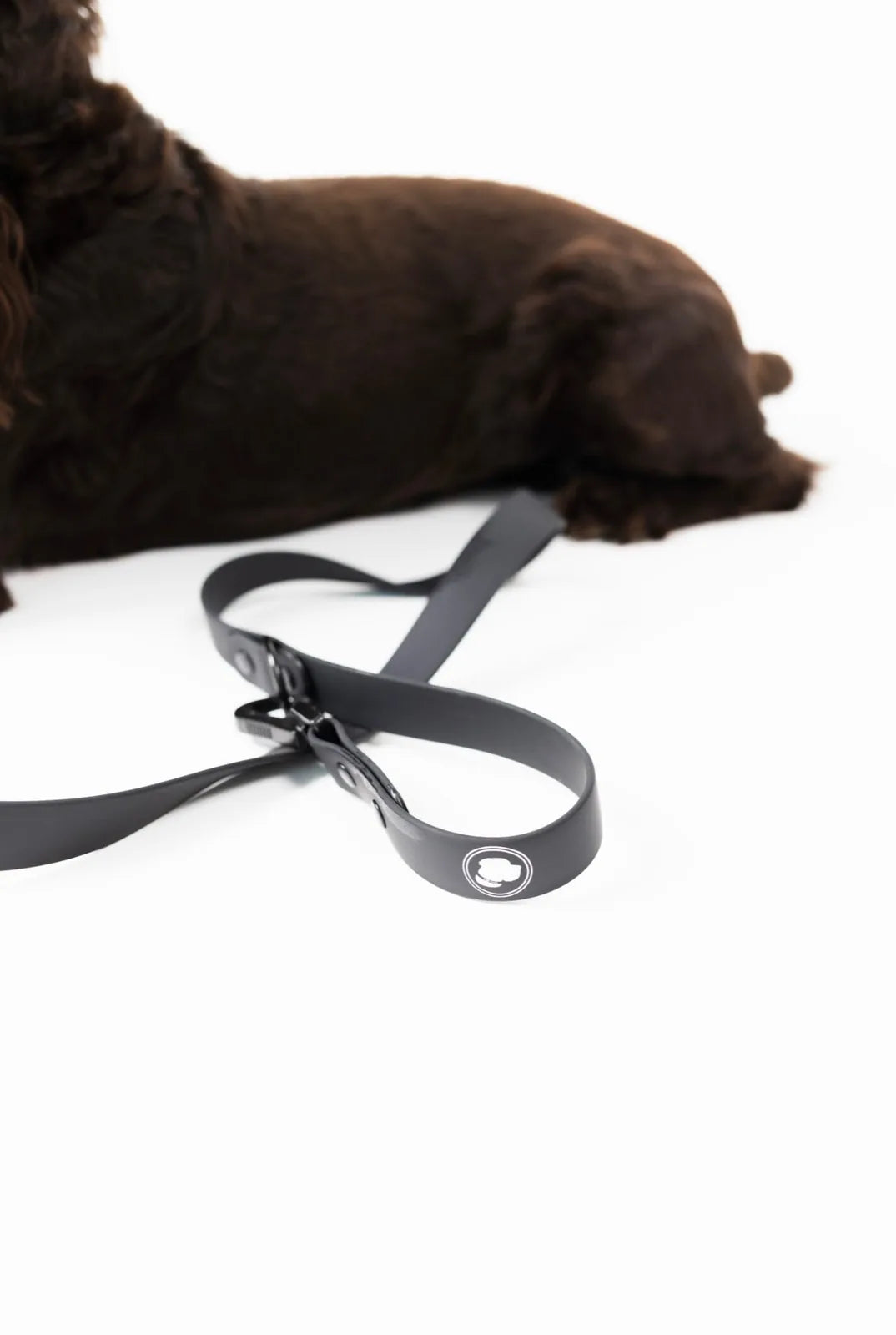 Adjustable black dog leash resting on white surface, with a brown dog partially visible in the background.