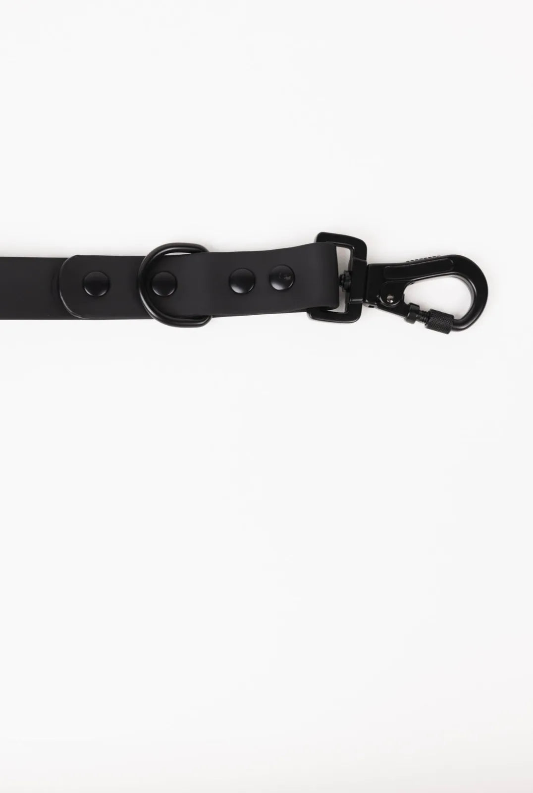 Adjustable black dog leash featuring a sturdy clasp, button detail, and a smooth, weather-resistant material.