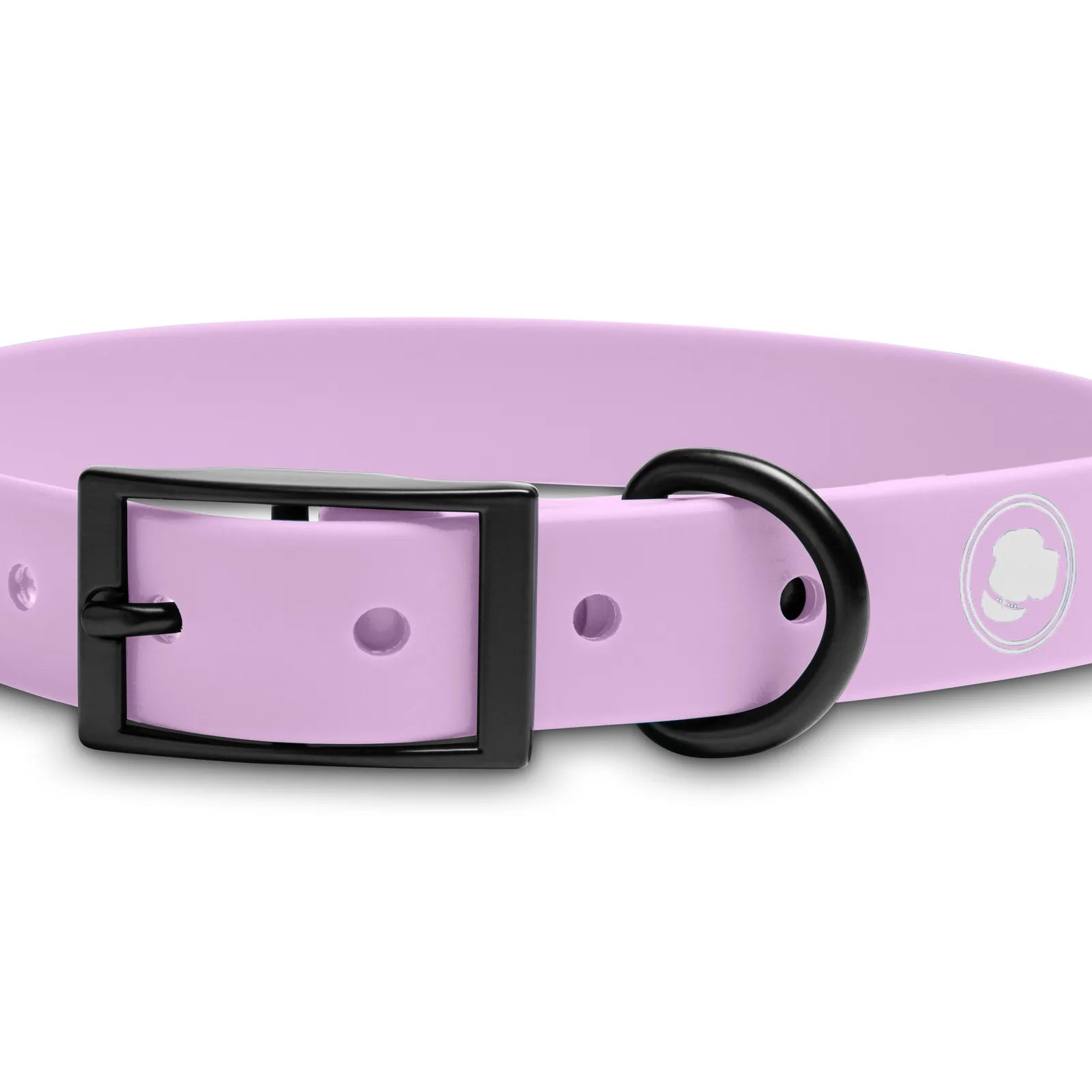 Blush pink adjustable dog collar with a black buckle, designed for all-weather and easy maintenance.