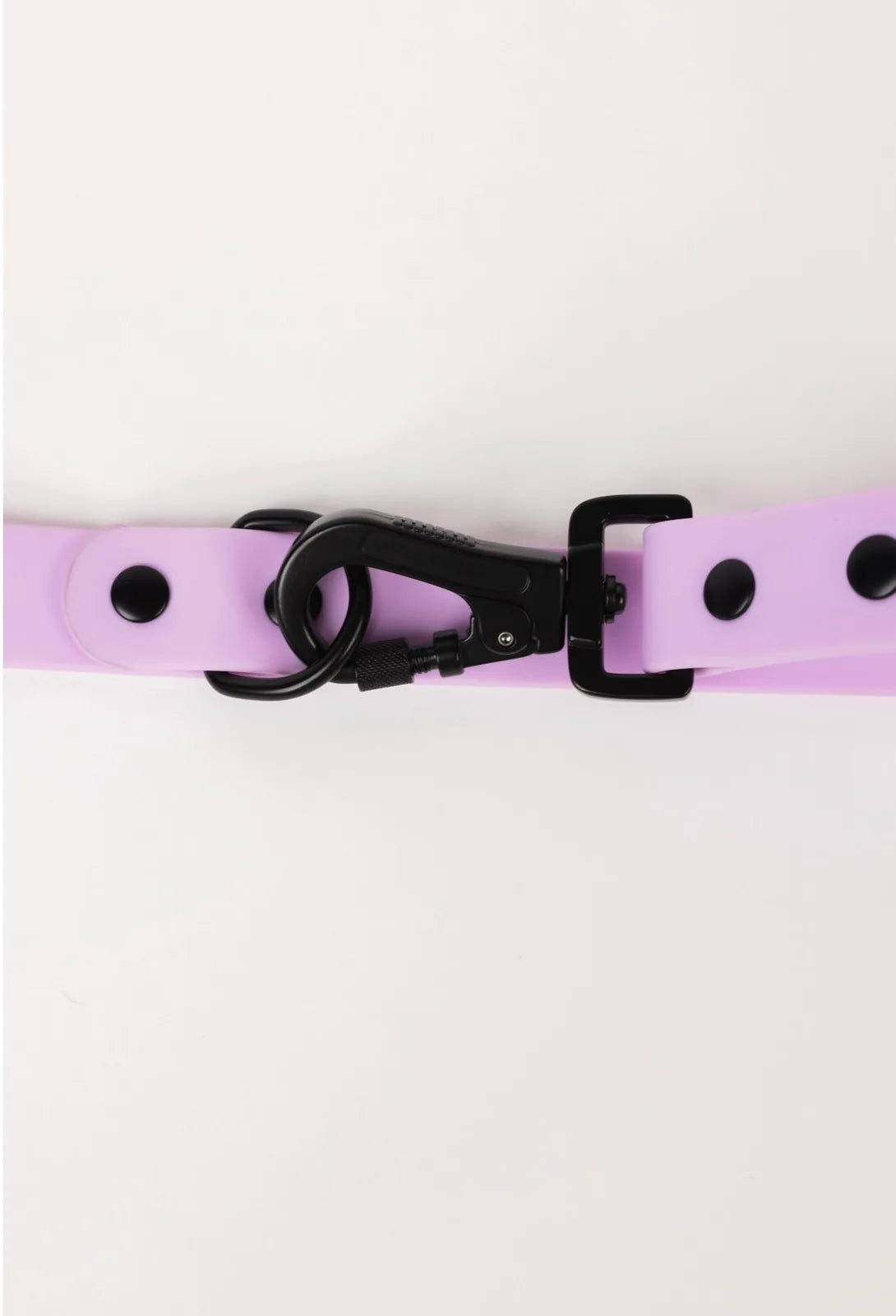 Adjustable blush pink dog leash with black metal clasp and buckle, designed for all-weather use and easy attachment.