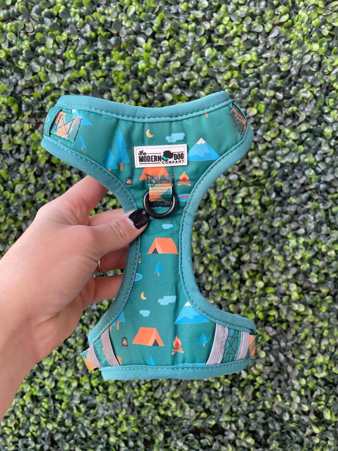 Teal camping harness with colorful tent and mountain patterns, featuring adjustable straps and a double D-ring for leashes.