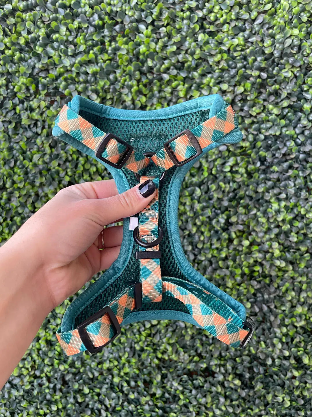 Teal dog harness with adjustable straps and orange plaid accents, designed for comfort and versatility in outdoor activities.