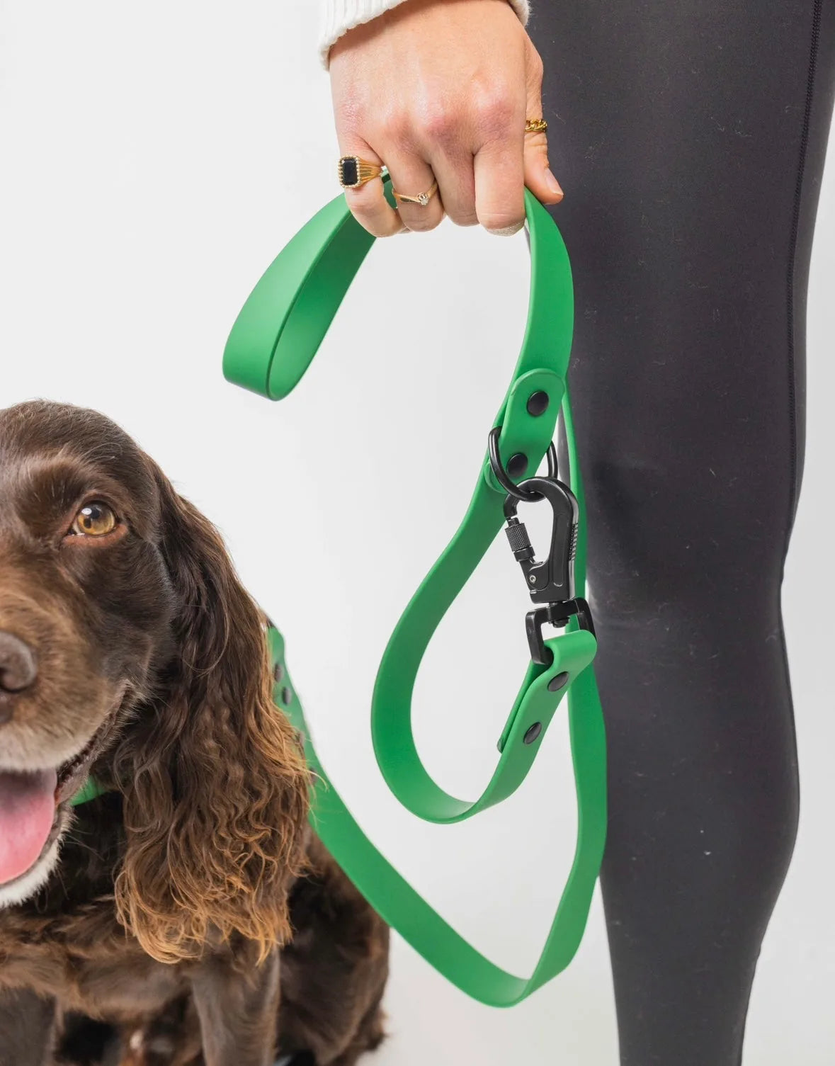 Clover green adjustable dog leash being held with a secure clasp, alongside a smiling brown dog.