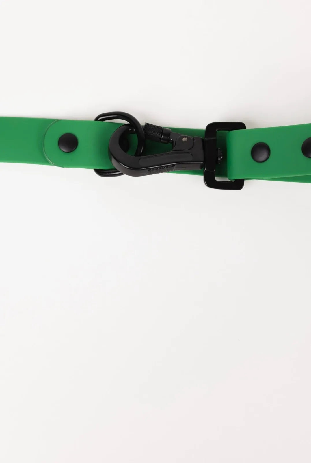 Adjustable clover green dog leash showcasing a screw-shut clasp and durable materials for all-weather use.