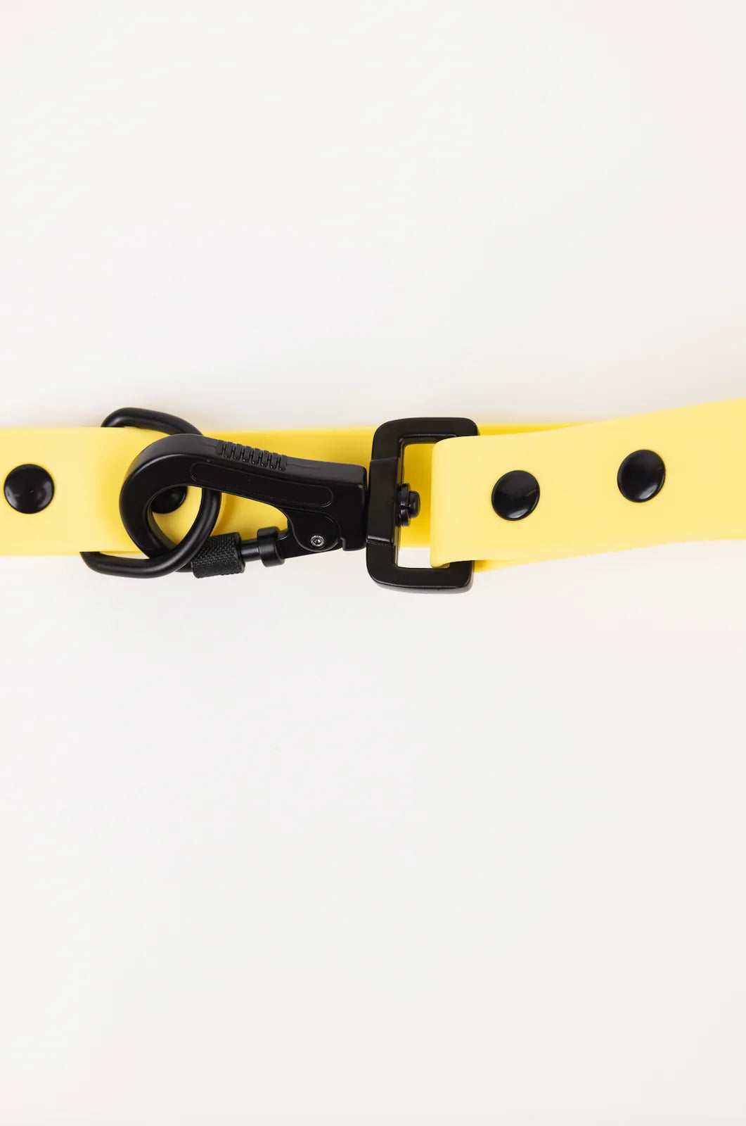 Daffodil yellow adjustable dog leash with a black locking carabiner and snap buttons for secure attachment.