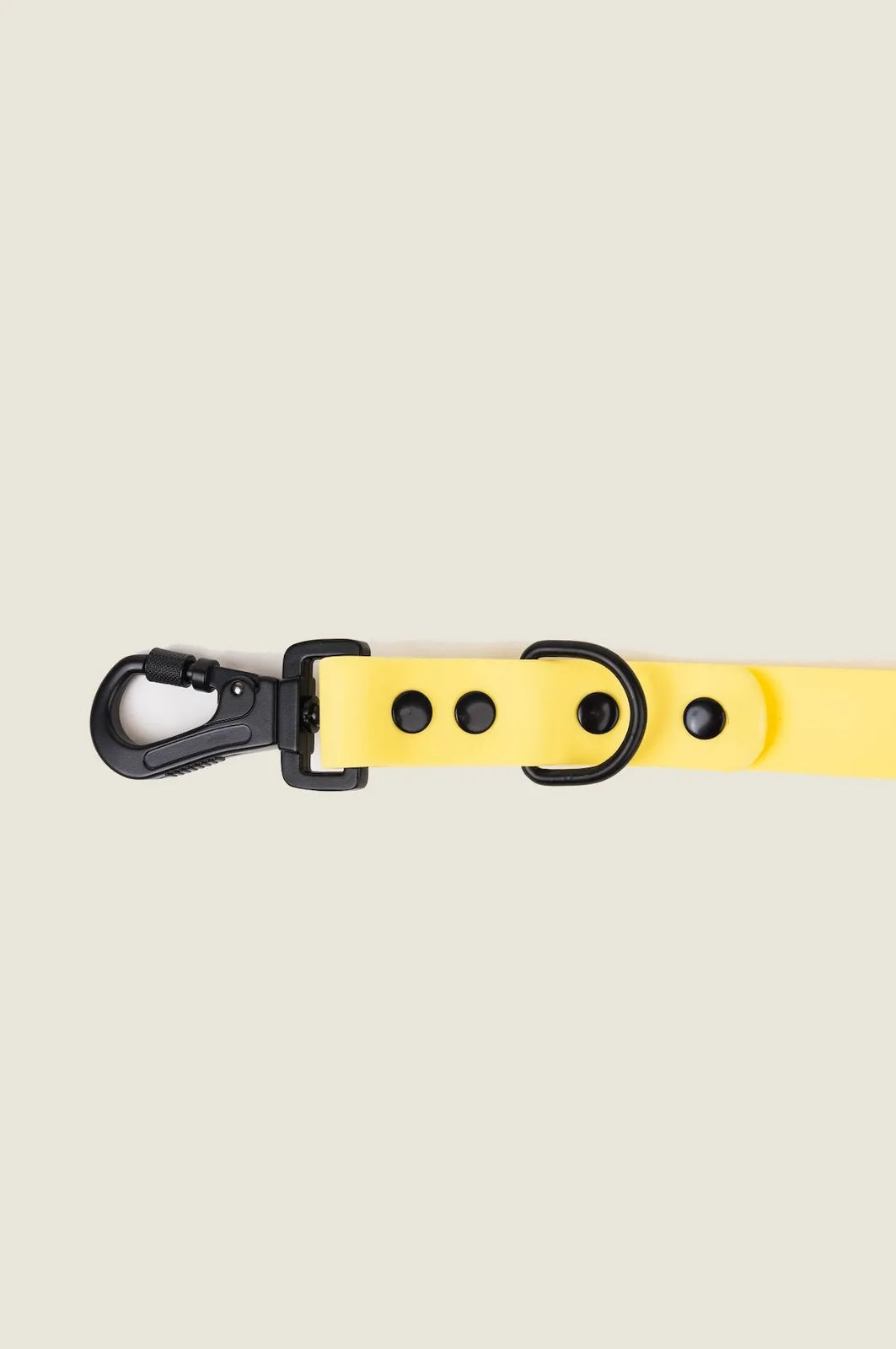 Daffodil yellow adjustable dog leash featuring a black locking carabiner and three adjustable lengths for flexibility.