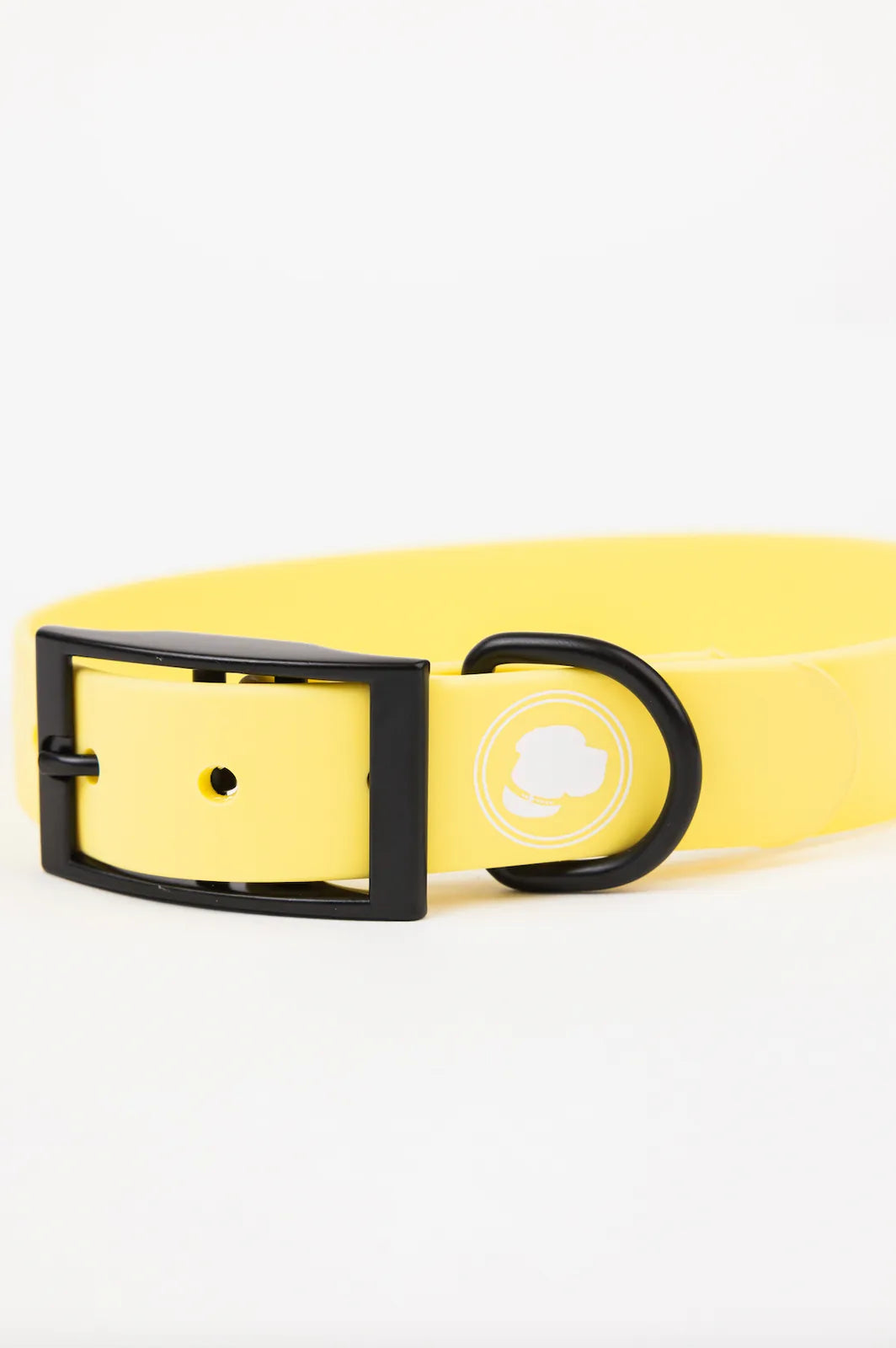 Daffodil yellow adjustable dog collar with a black buckle and logo, designed for durability and easy maintenance.