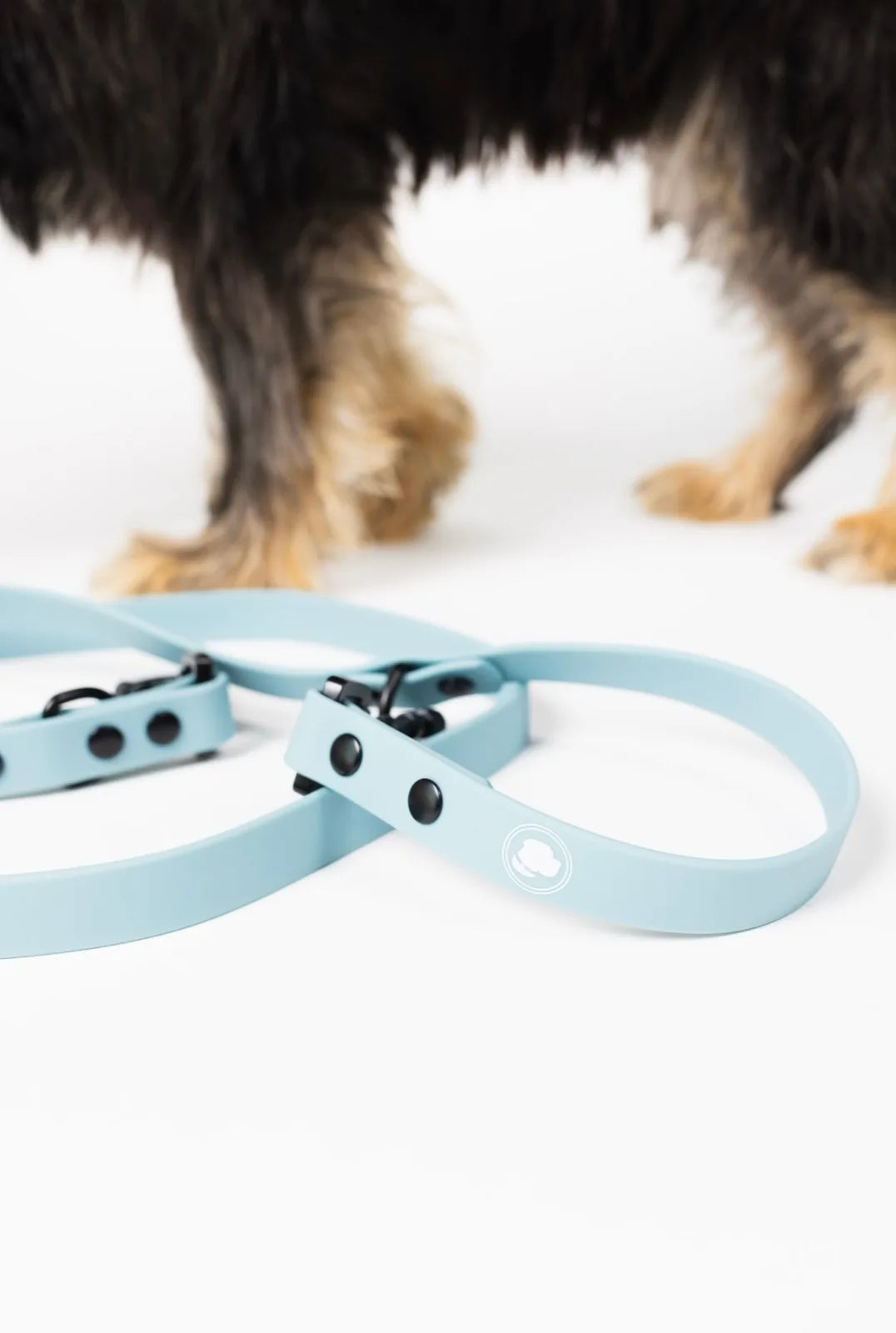 Dusty blue adjustable dog leash with black clips, resting on a white surface, accompanied by a dog's paw in the background.