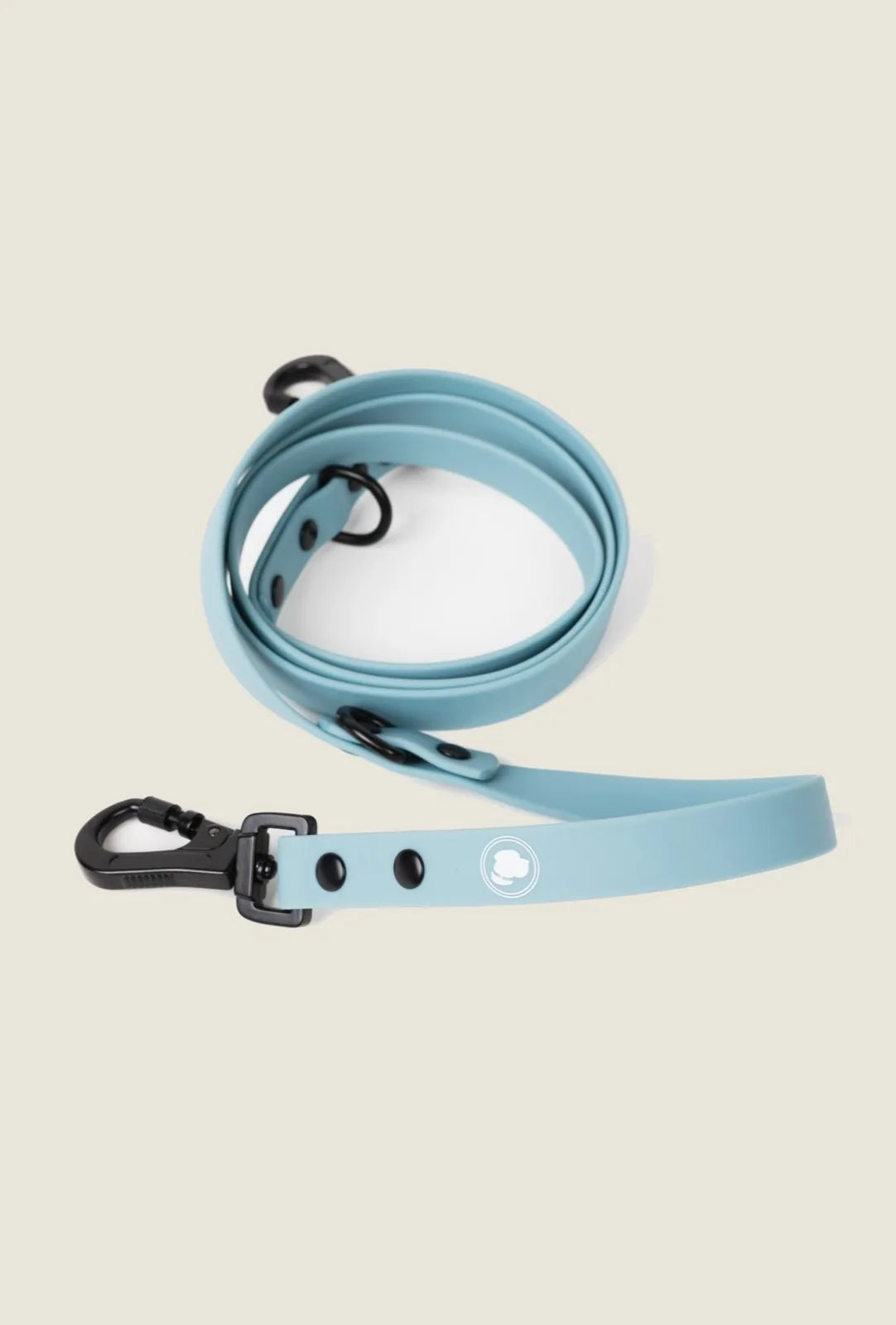 Dusty blue adjustable dog leash with black hardware, designed for all-weather use and easy attachment for walks.