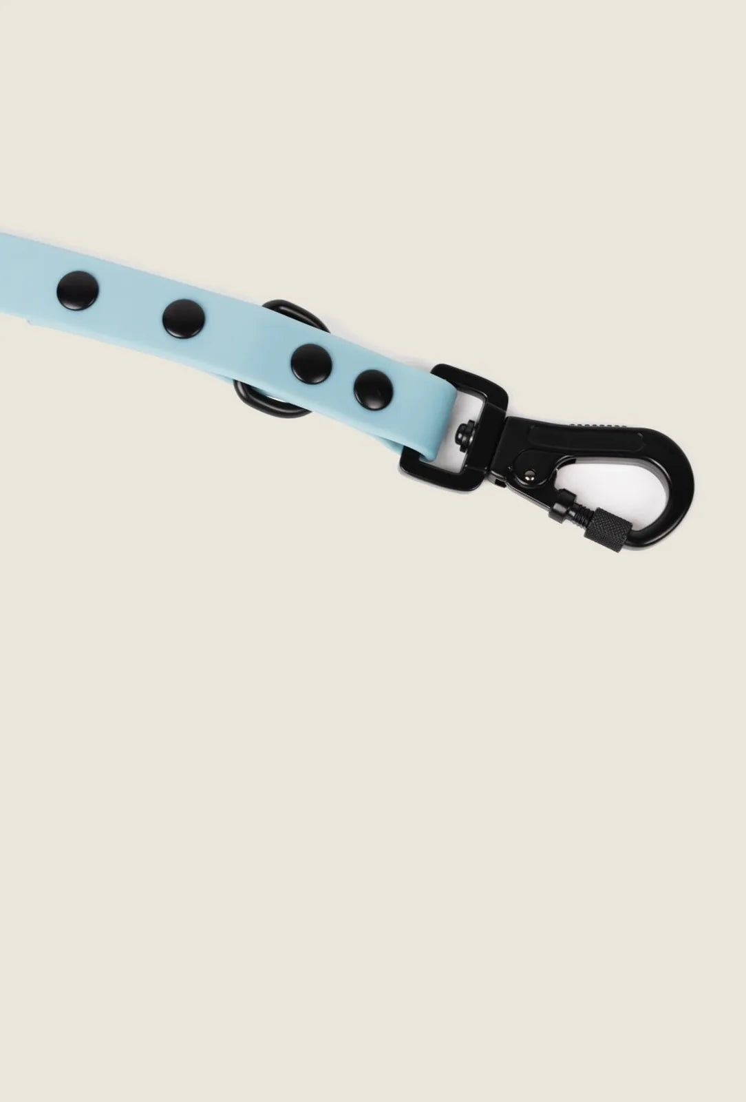 Dusty blue adjustable dog leash with black accents and metallic clip, perfect for all-weather walks.