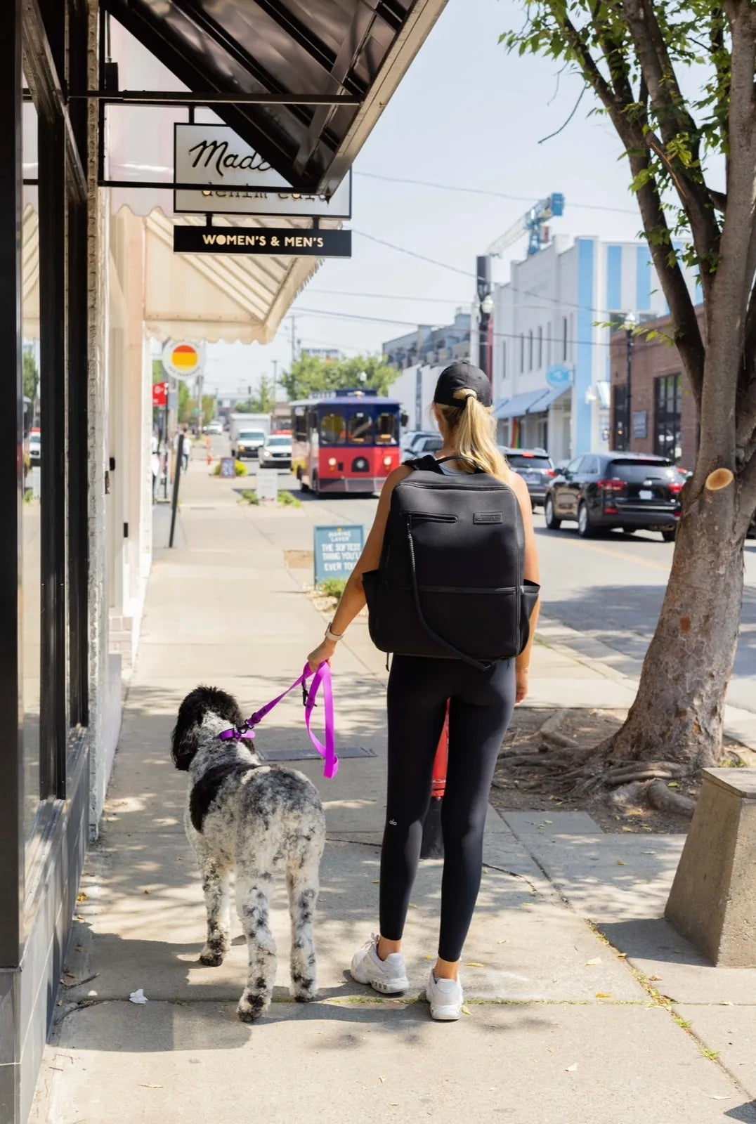 A woman in black leggings and a cap walks a dog on a leash, showcasing a vibrant purple collar.