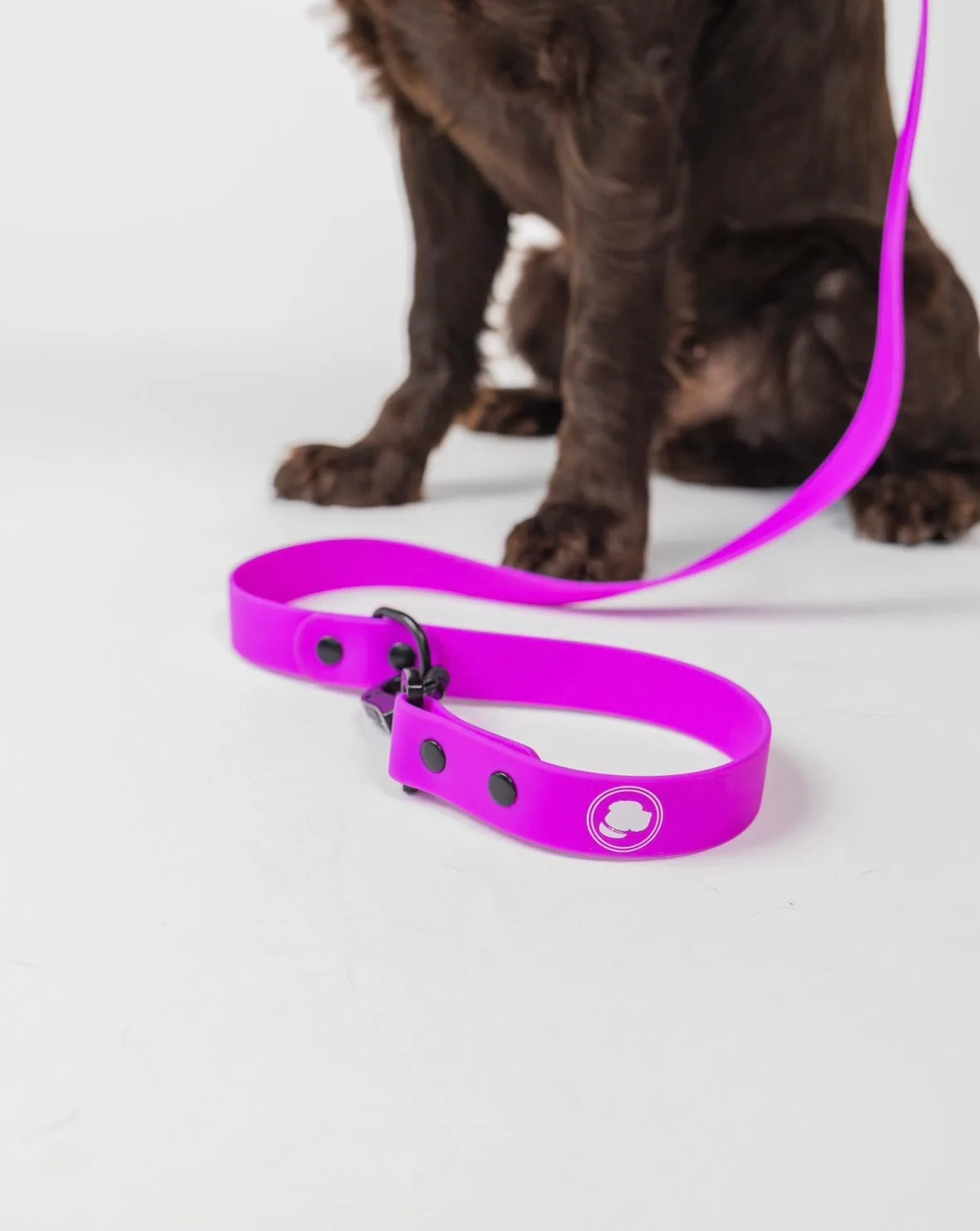 Electric fuchsia dog leash with adjustable length, featuring a sturdy black clip and logo, beside a seated dog.