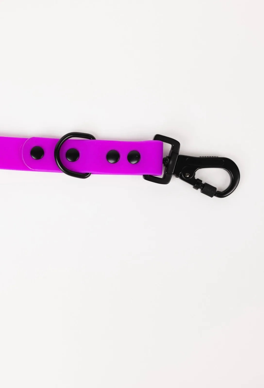 Electric fuchsia adjustable dog leash with black hardware, featuring snap hook and multiple attachment points.