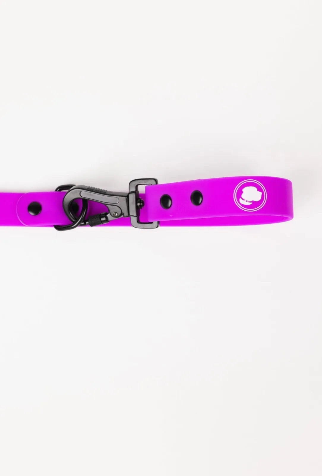 Electric fuchsia dog leash with adjustable length and black clip, designed for weather-resistant durability.