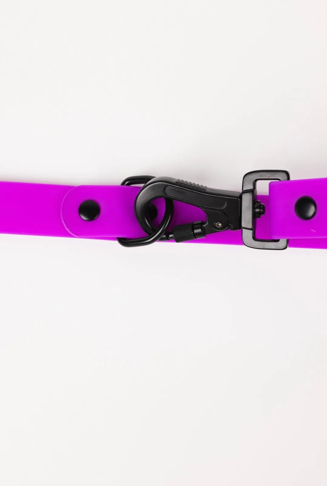 Electric fuchsia dog leash with a black clip and adjustable design, made for all-weather use.