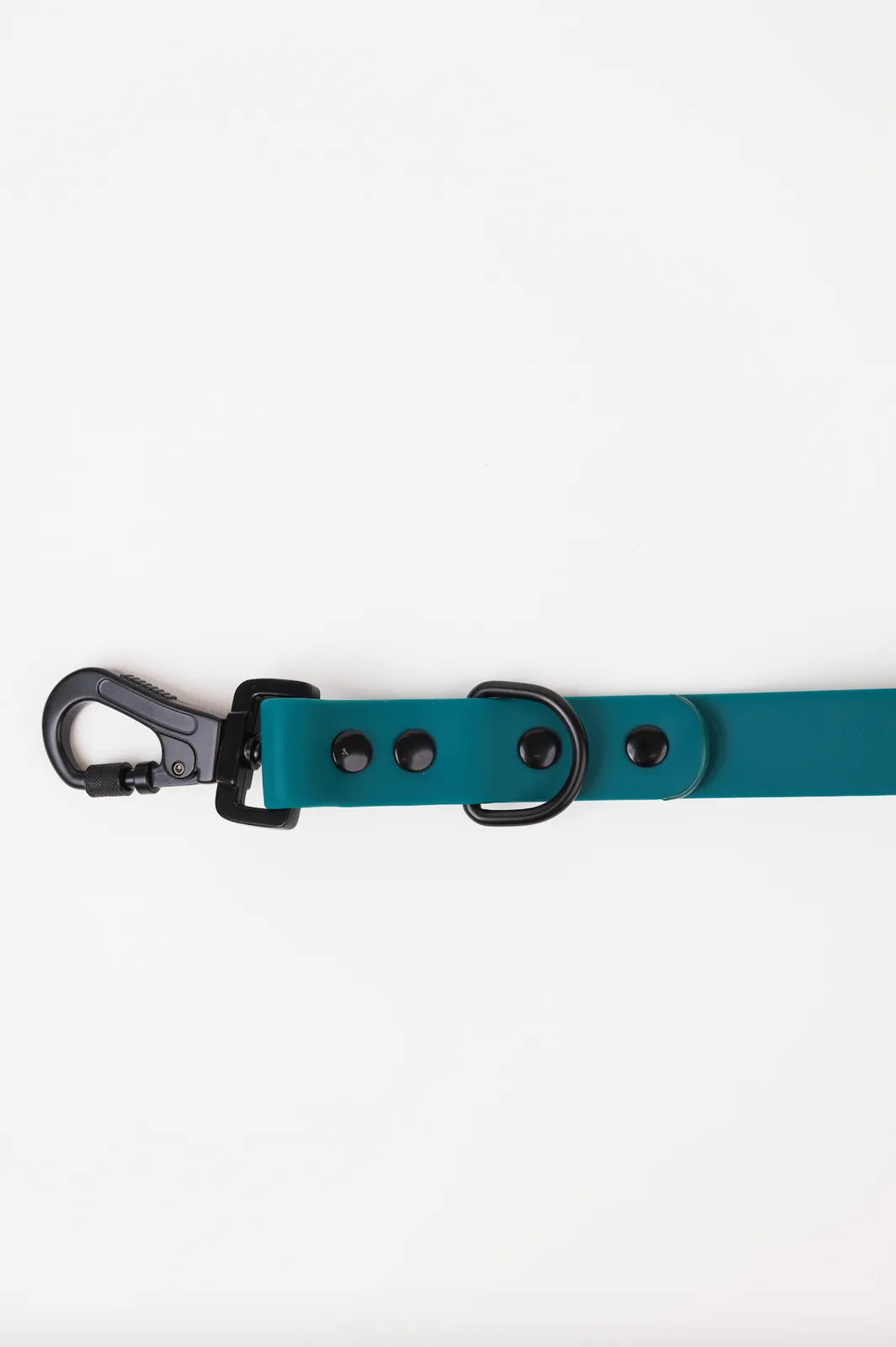 Forest green adjustable dog leash with a black locking carabiner and buttons for length adjustment.