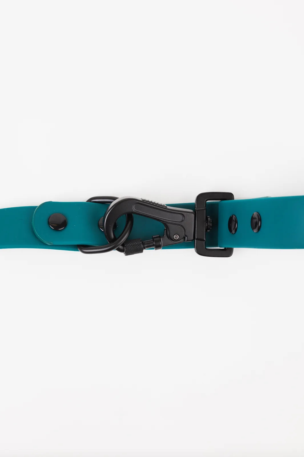 Forest green adjustable leash with a black locking carabiner and smooth buckle design for secure walks and outings.