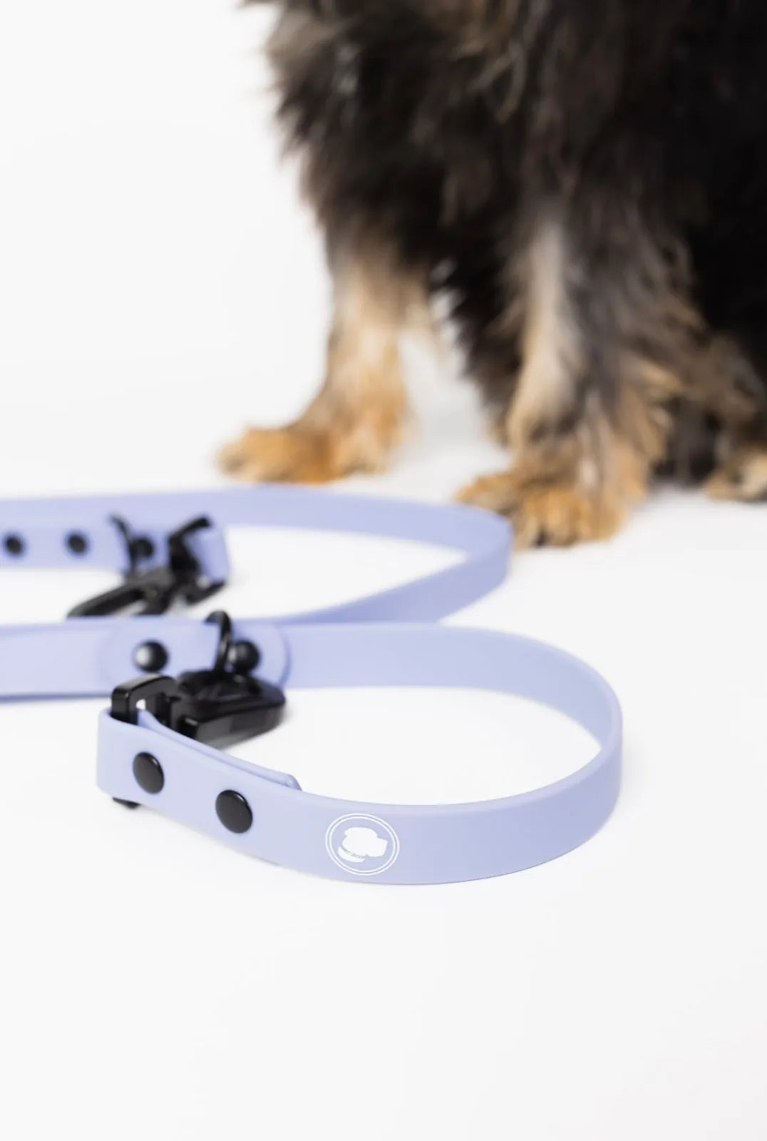 Lavender purple adjustable dog leash with black clips, designed for walking in all weather.