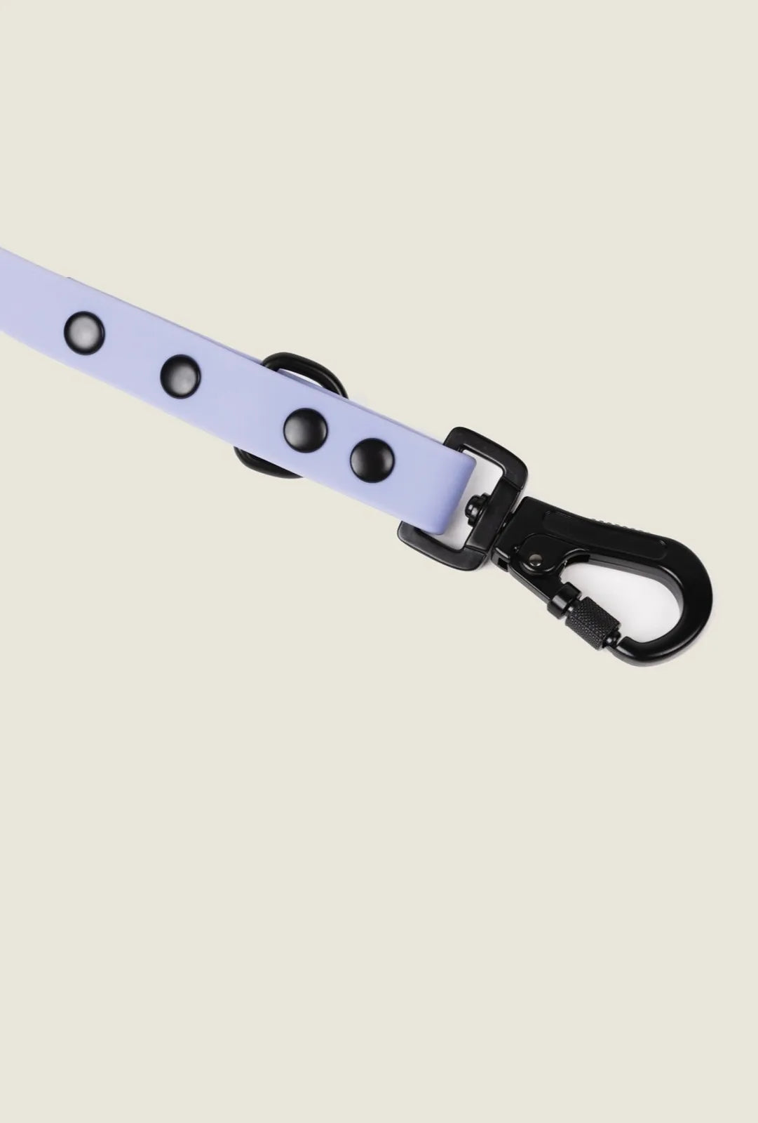 Lavender purple adjustable dog leash with black hardware, featuring snap hook and button detailing for secure attachment.