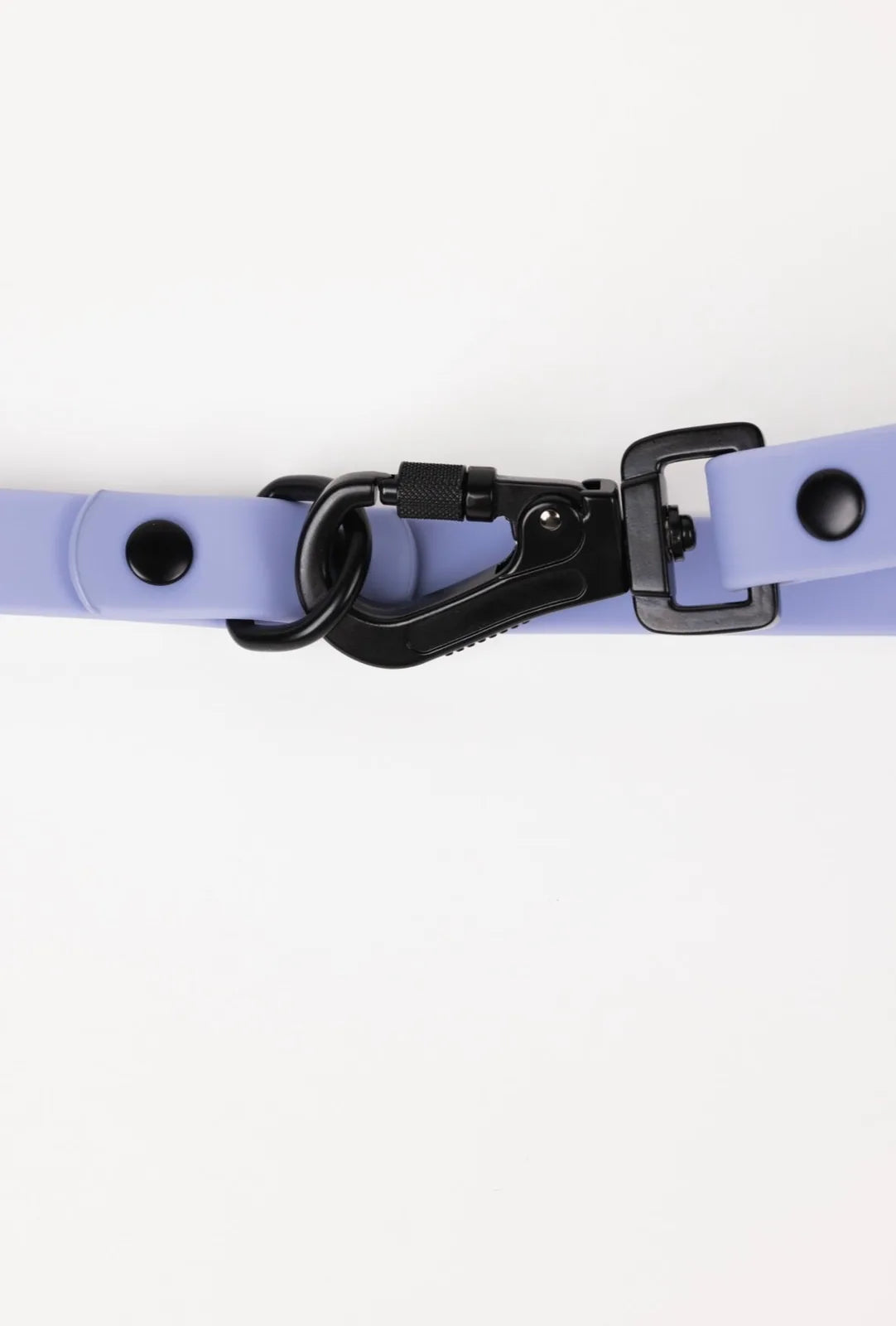 Lavender purple adjustable dog leash with a black clip and buckle, designed for all-weather use.