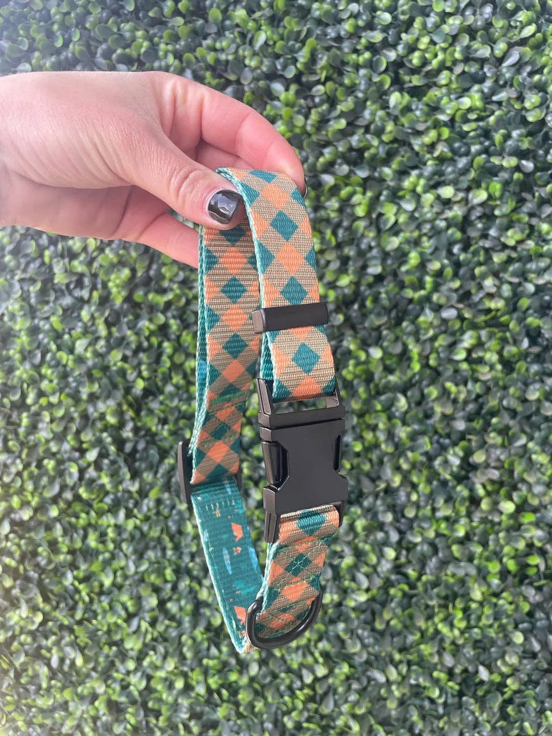Plaid camping collar in teal and orange with adjustable strap and durable black metal hardware. Perfect for dogs.