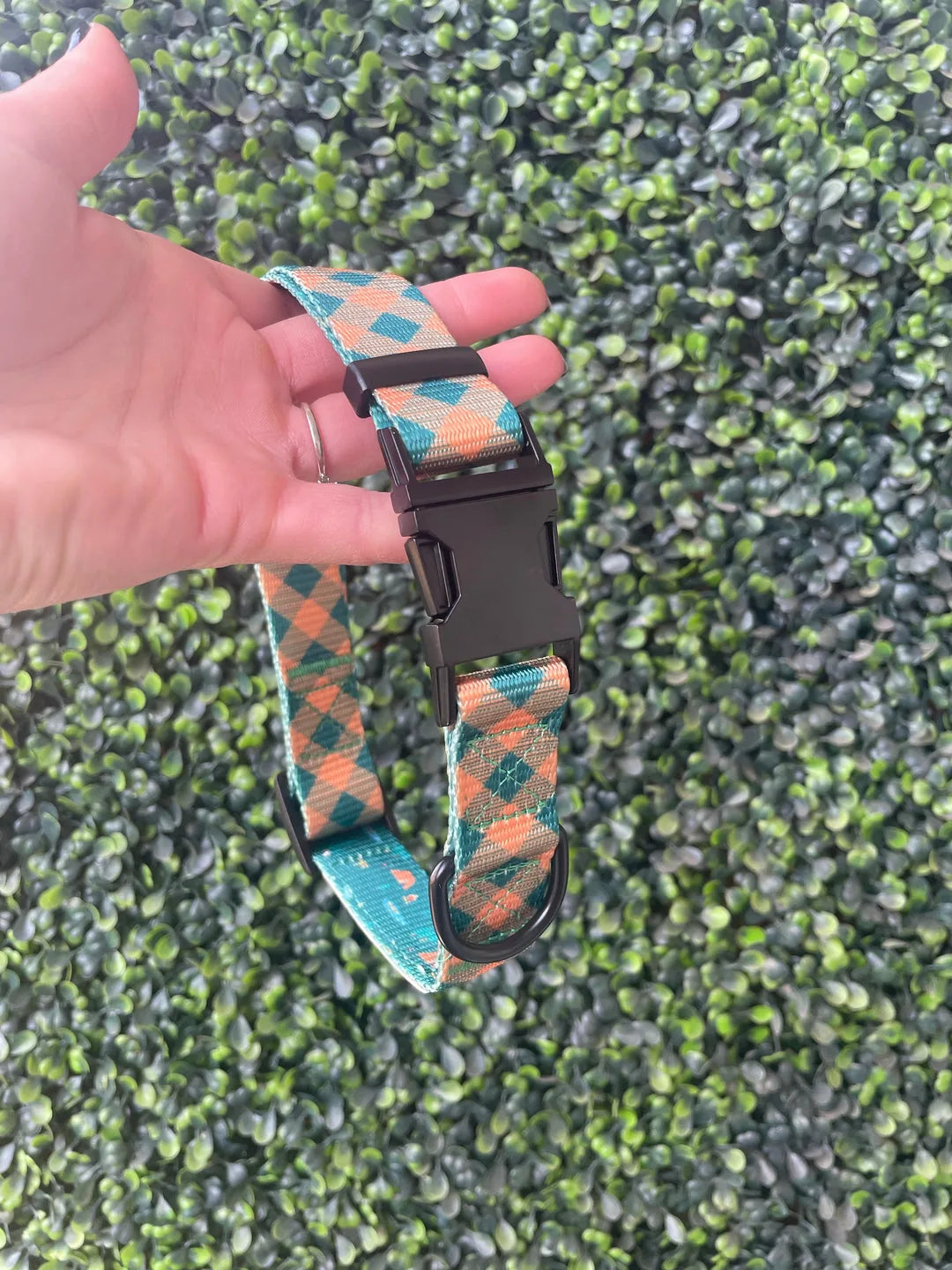 Plaid camping collar in teal and orange with adjustable strap and strong metal buckle, resting against green foliage.