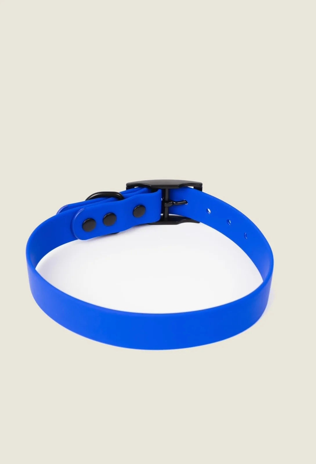 Adjustable royal blue dog collar with a sleek design and black buckle, perfect for outdoor adventures.