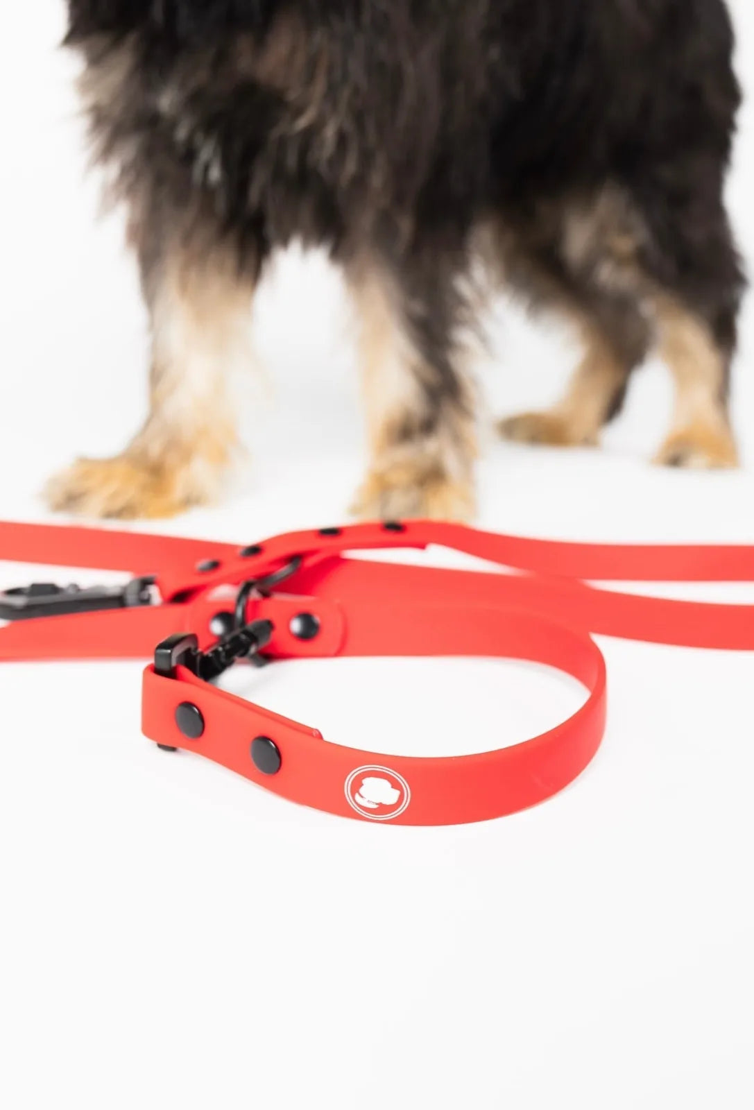Ruby red adjustable dog leash with black clips and buttons, featuring a logo on the handle and a blurred dog in the backgr...