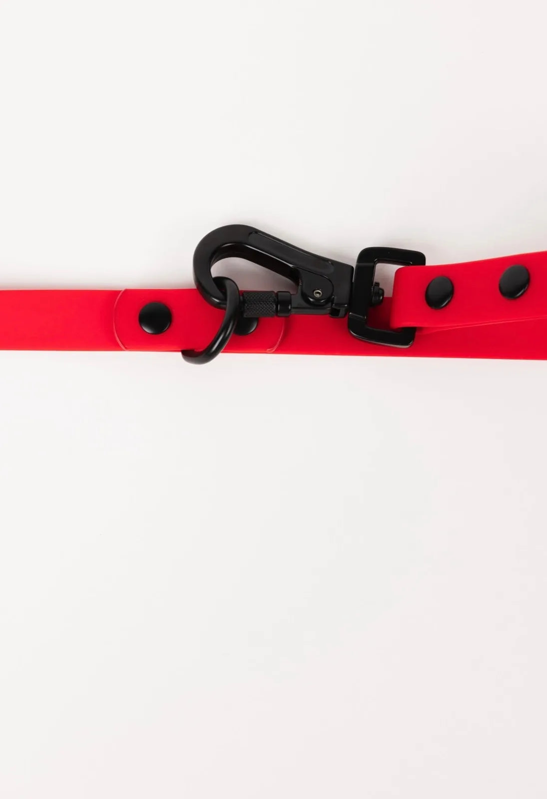 Ruby red adjustable dog leash with black metal clasp and buttons, designed for durability in all weather conditions.
