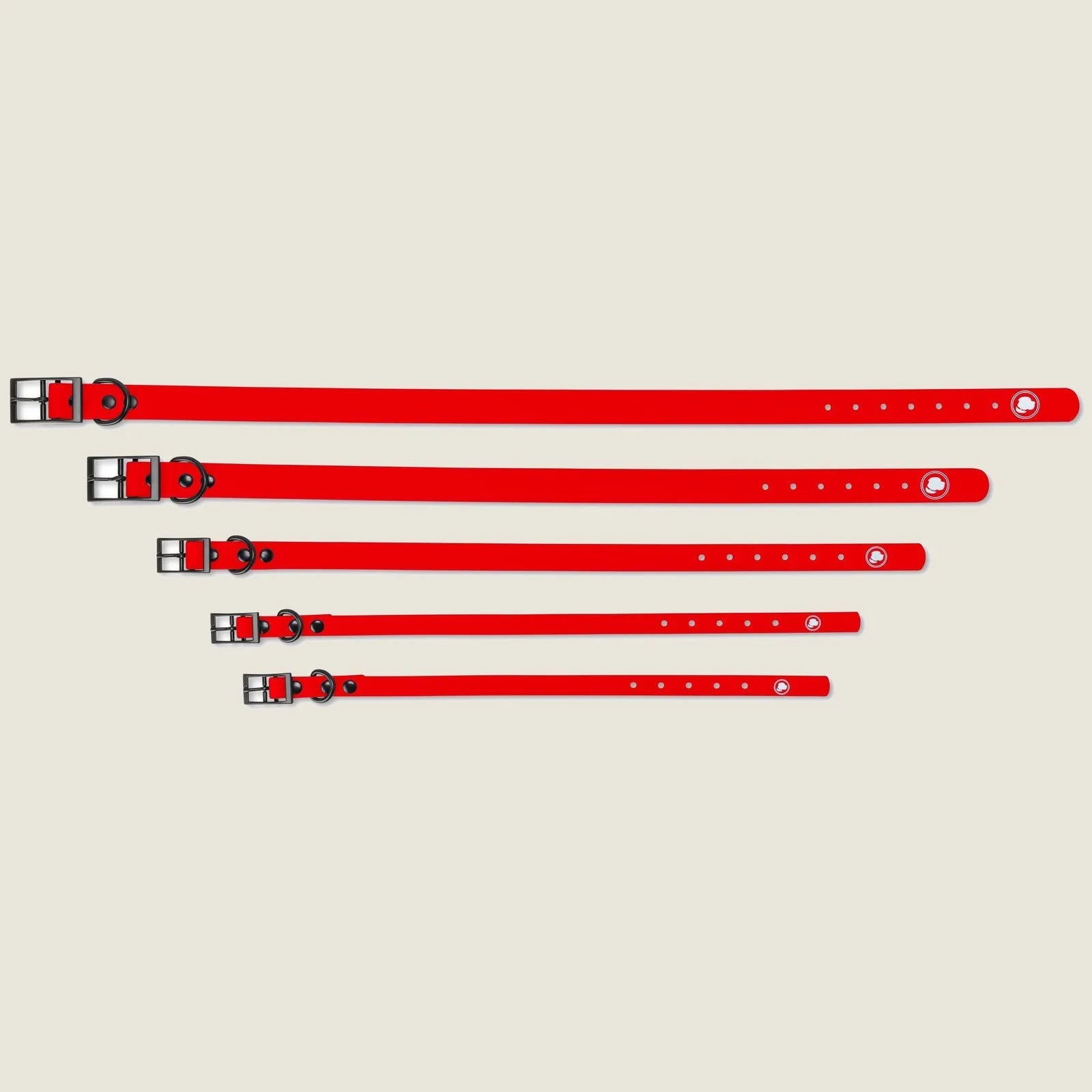 Adjustable ruby red dog collars line up, showcasing five sizes with silver metal buckles for comfortable fits.