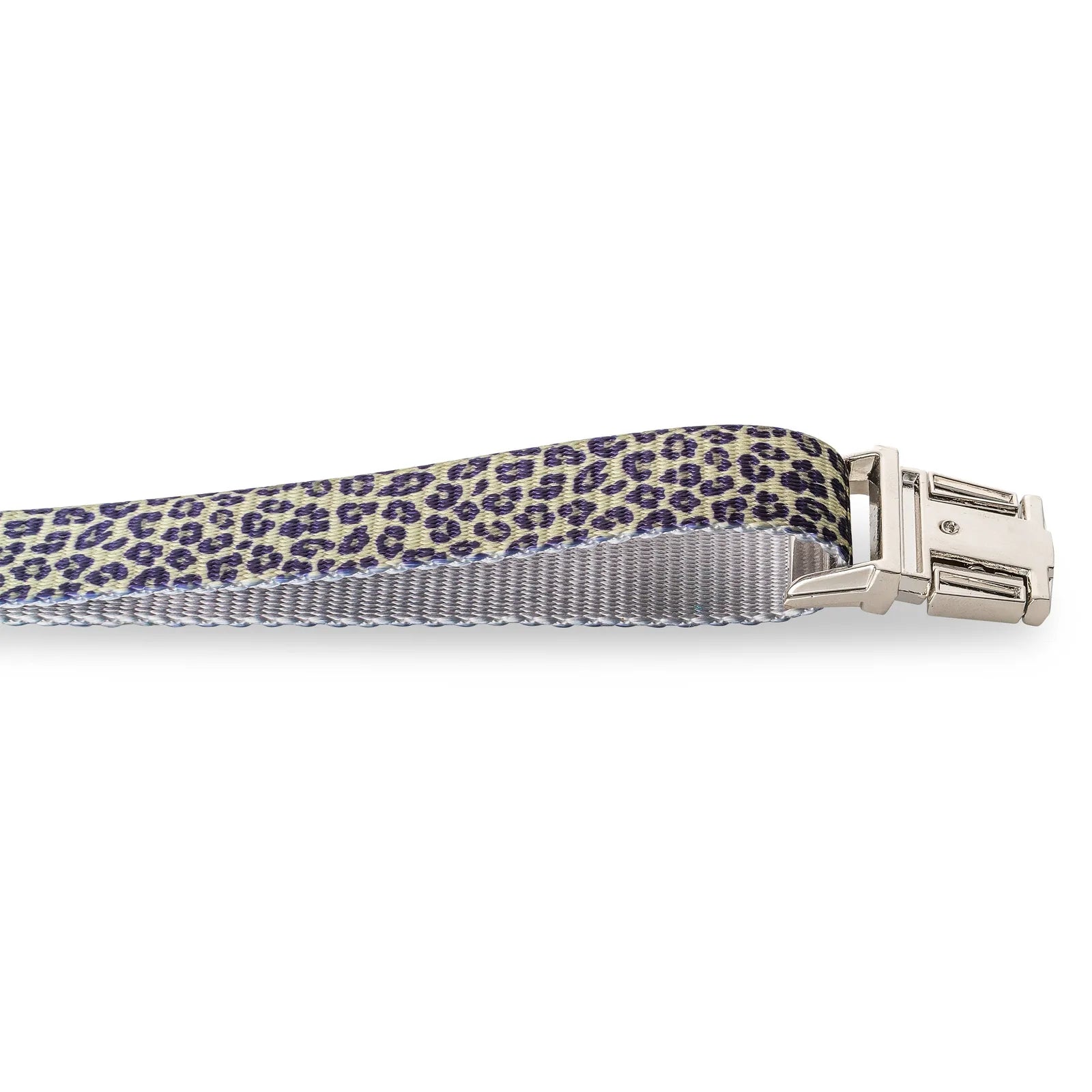 Leopard-print adjustable dog collar with durable strap and metal buckle, perfect for adventurous dogs.