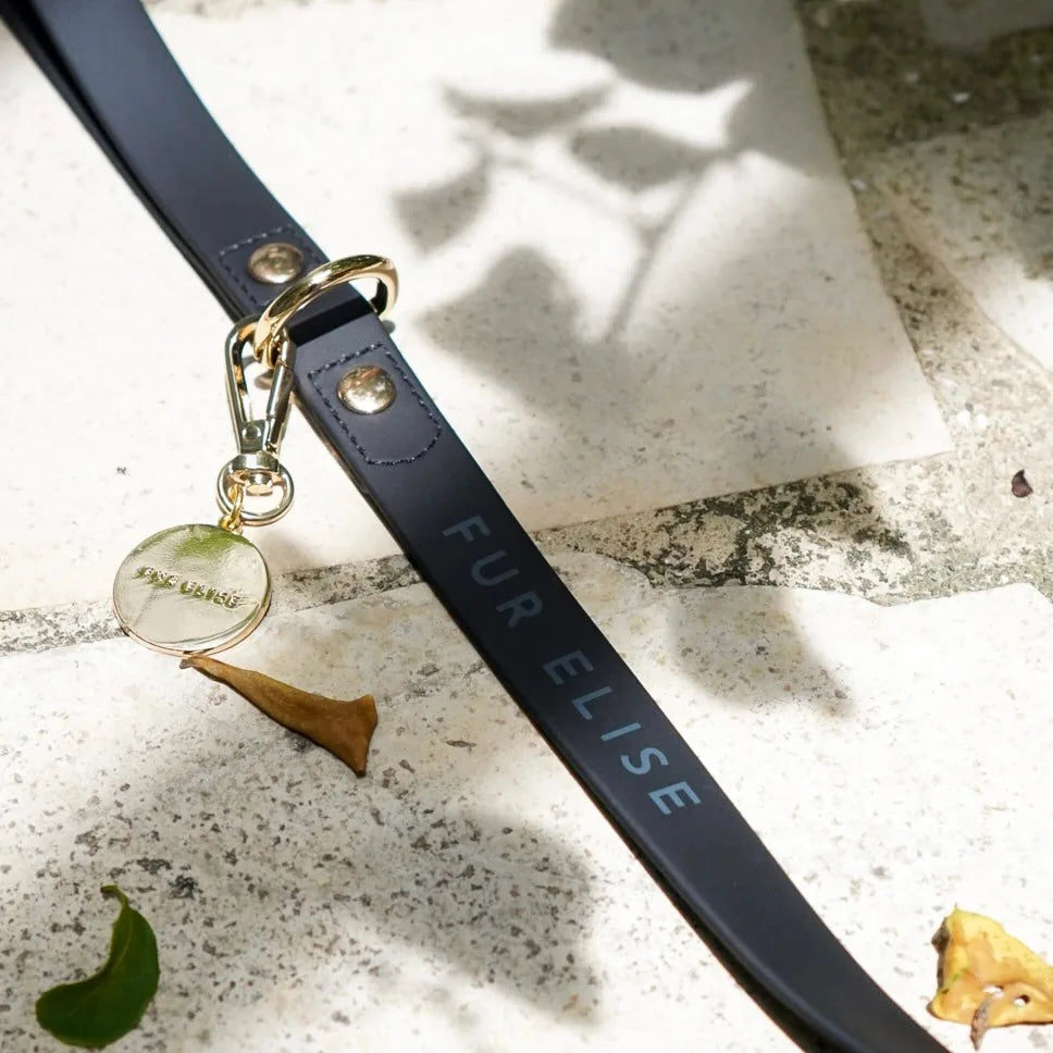 Noir leash featuring a gold clip, engraved tag, and contrasting stitching, resting on a textured surface with foliage.