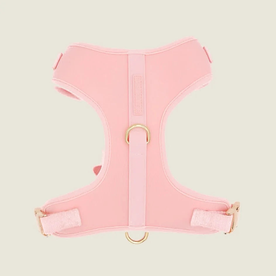 Soft pink neoprene dog harness with a breathable mesh design and gold hardware, part of Elise Galleria's Ultimate Walk Set.